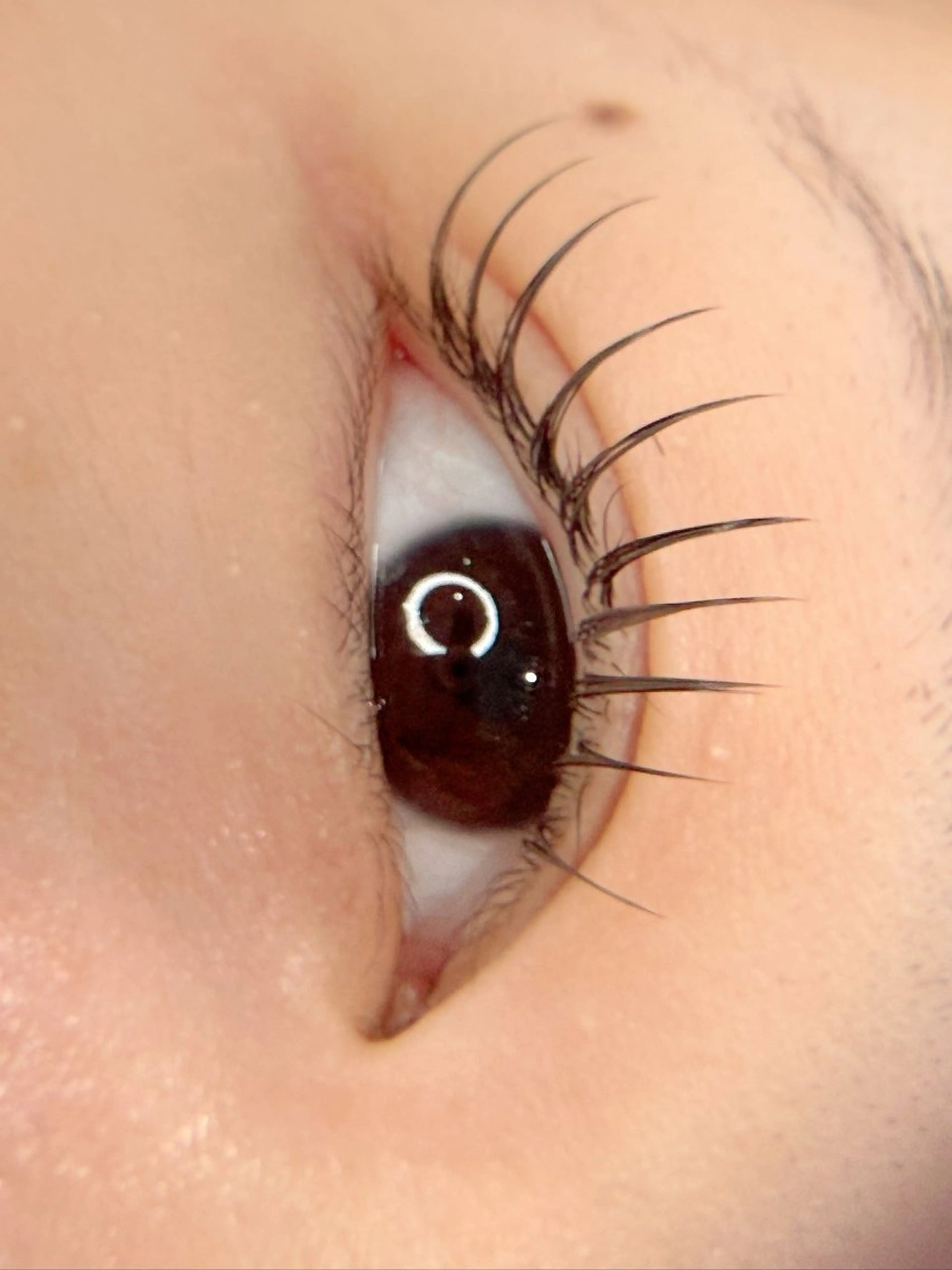 マツエク・マツパ 🩶JOLi さいたま新都心🩶のマツエク・マツパデザイン