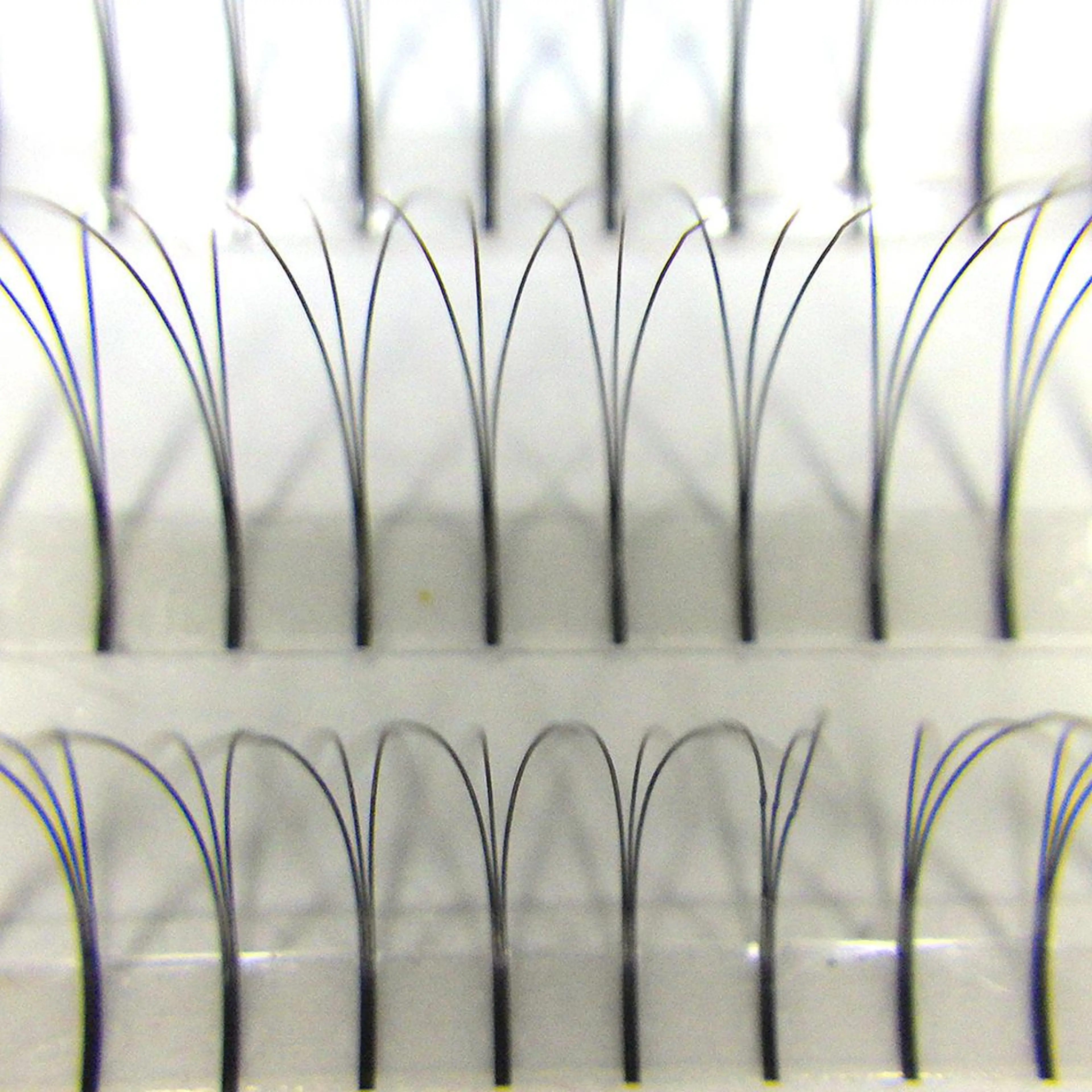 マツエク・マツパ セーブル ディアナ 水戸元吉田店　青柳のマツエク・マツパデザイン