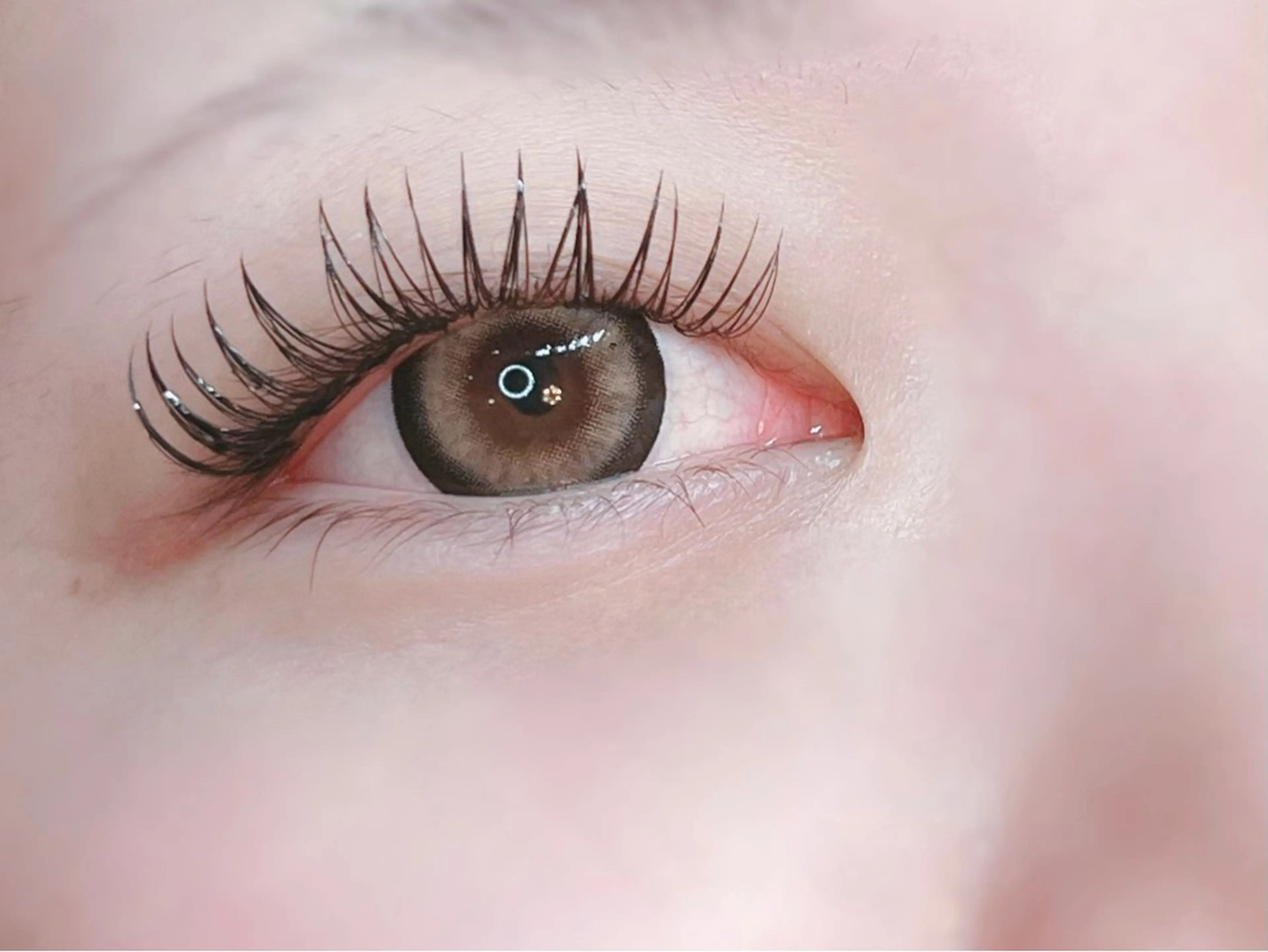 マツエク・マツパ マツエク like a lu マツエクのマツエク・マツパデザイン