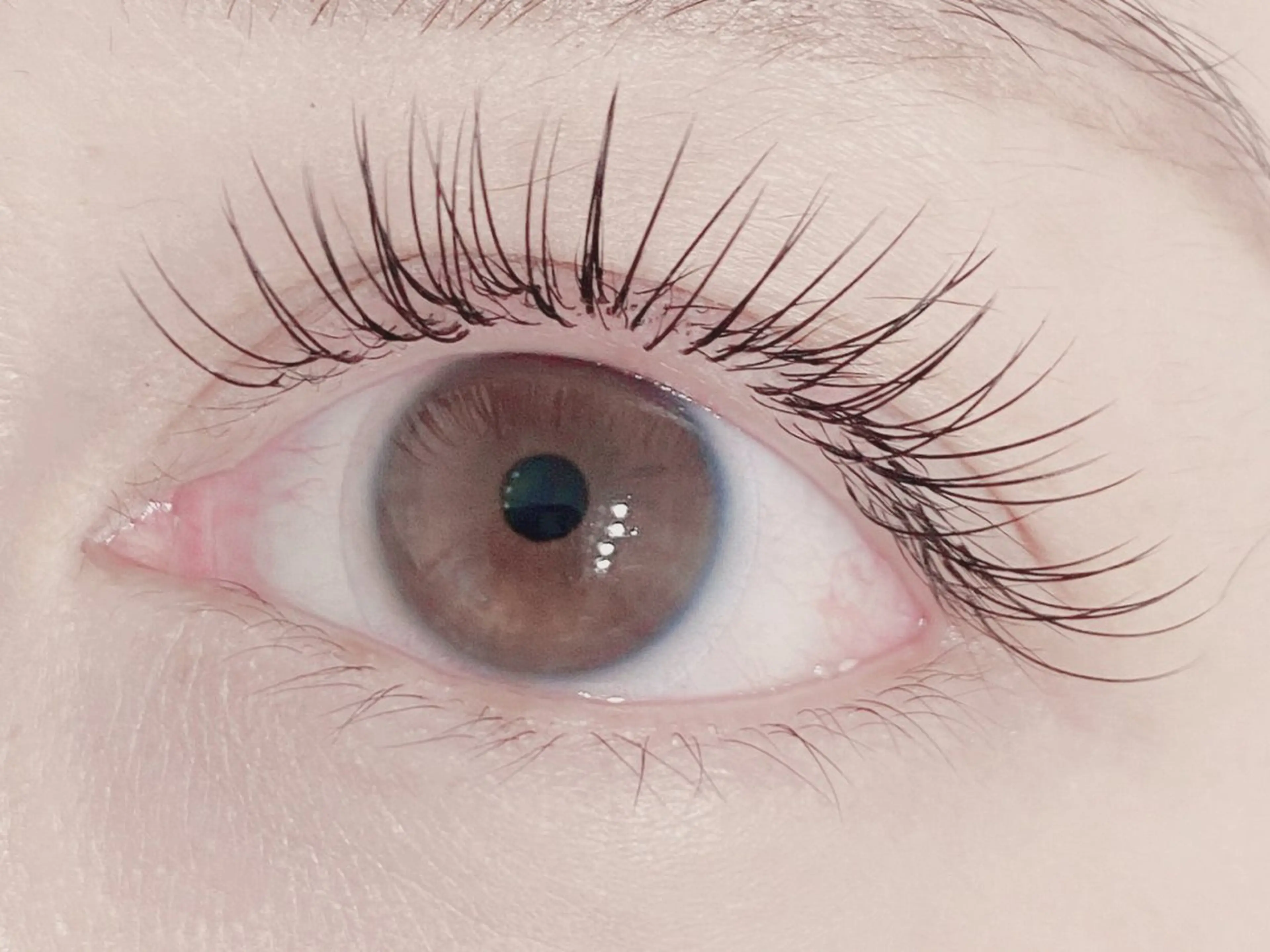 マツエク・マツパ 付け放題 フラットラッシュ マツエク 💎マツエク/眉毛 パリジェンヌ渋谷💎のマツエク・マツパデザイン