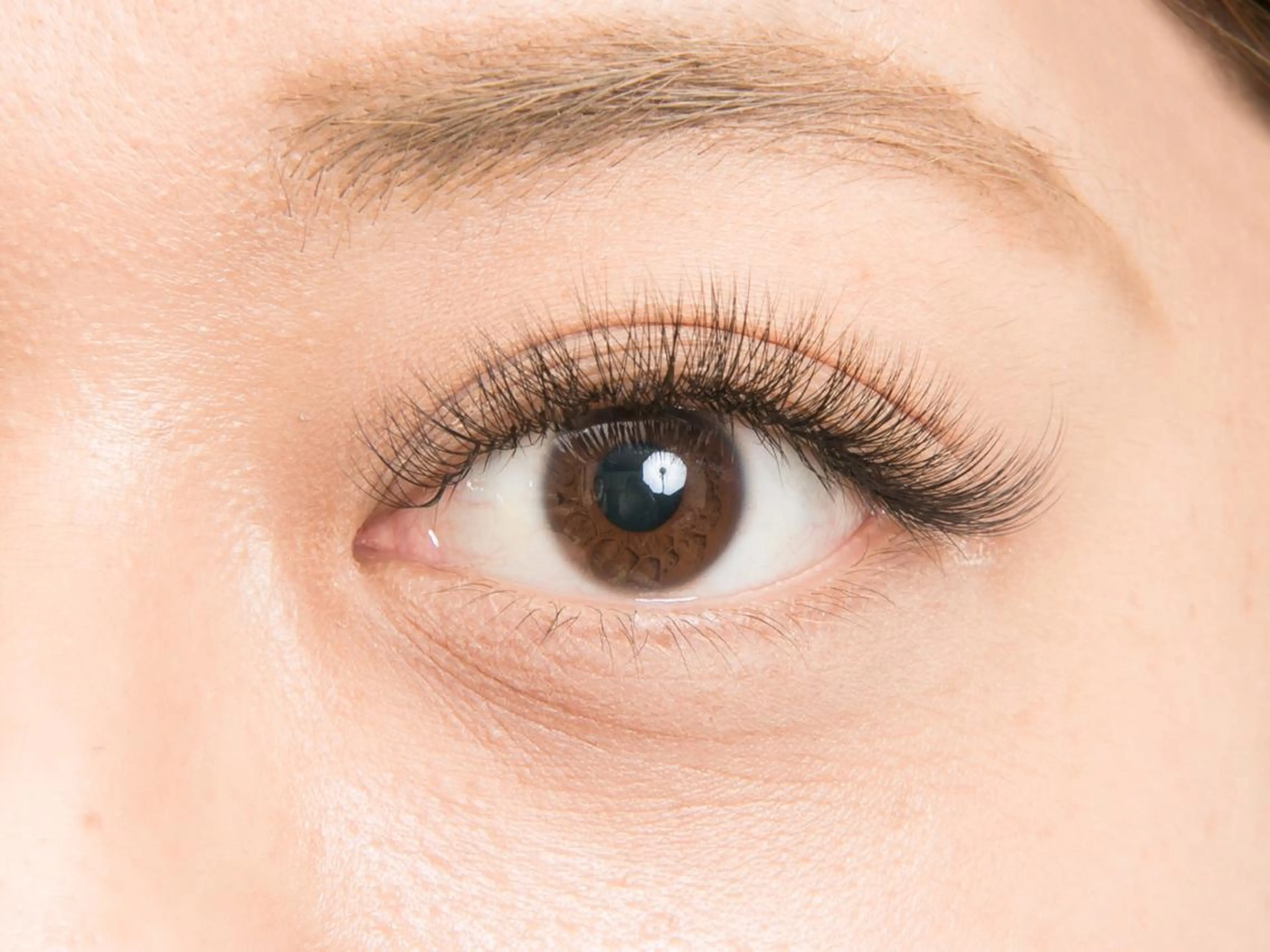 【オフ無料】ボリュームラッシュ100束(300本相当)の写真