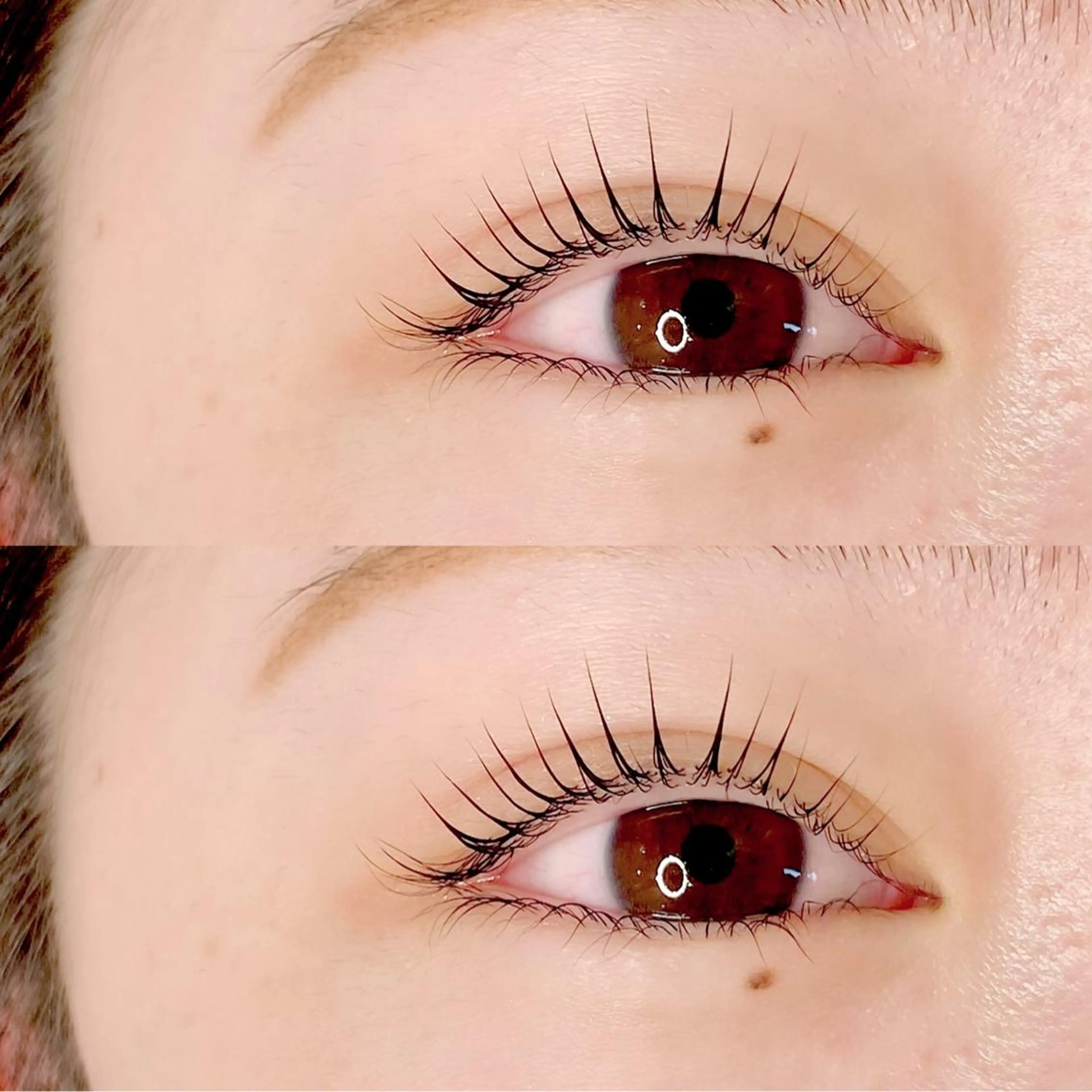 【期間限定再来】✨上のみラッシュリフト✨の写真