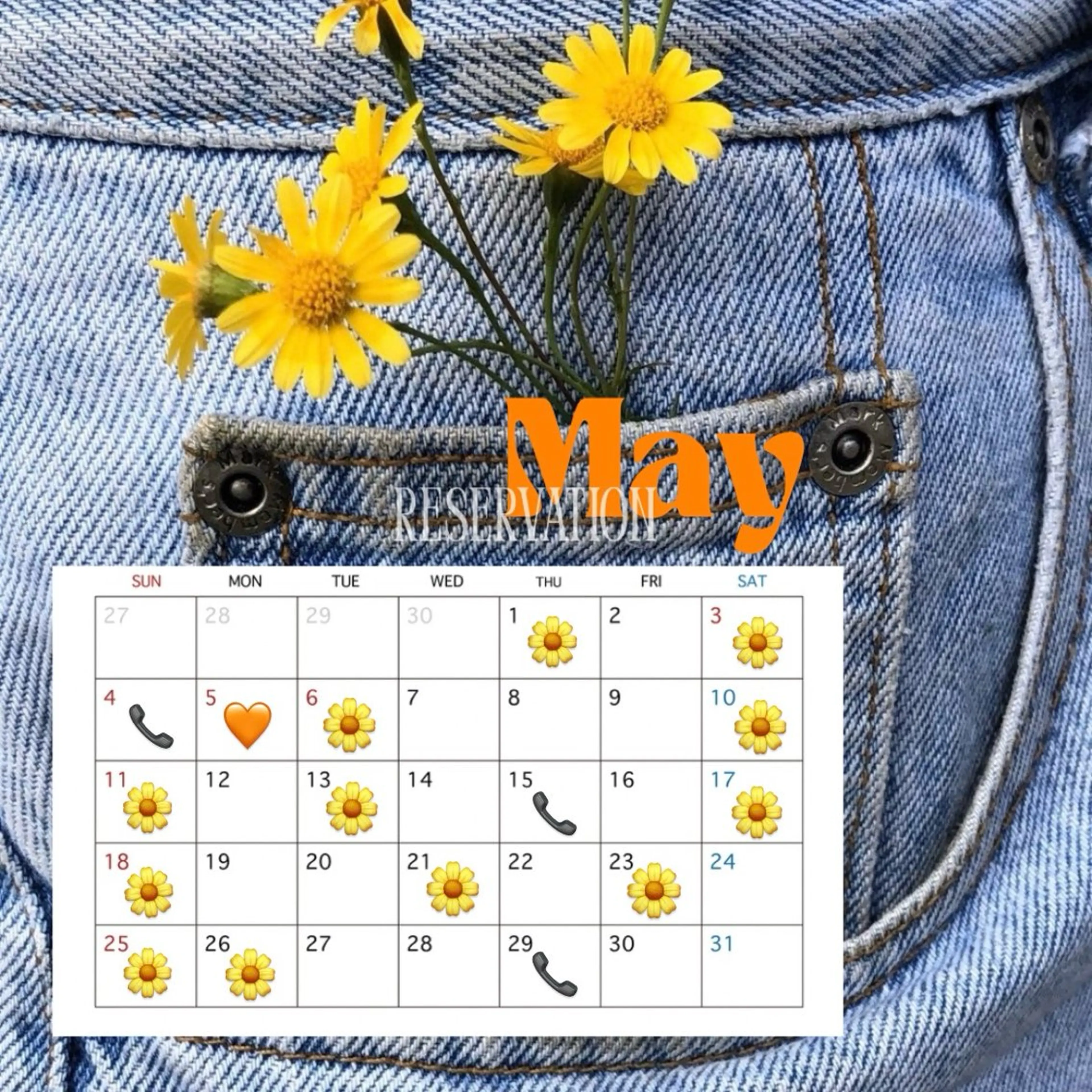 🌐　BIANCA endo 　🌐のその他イメージ