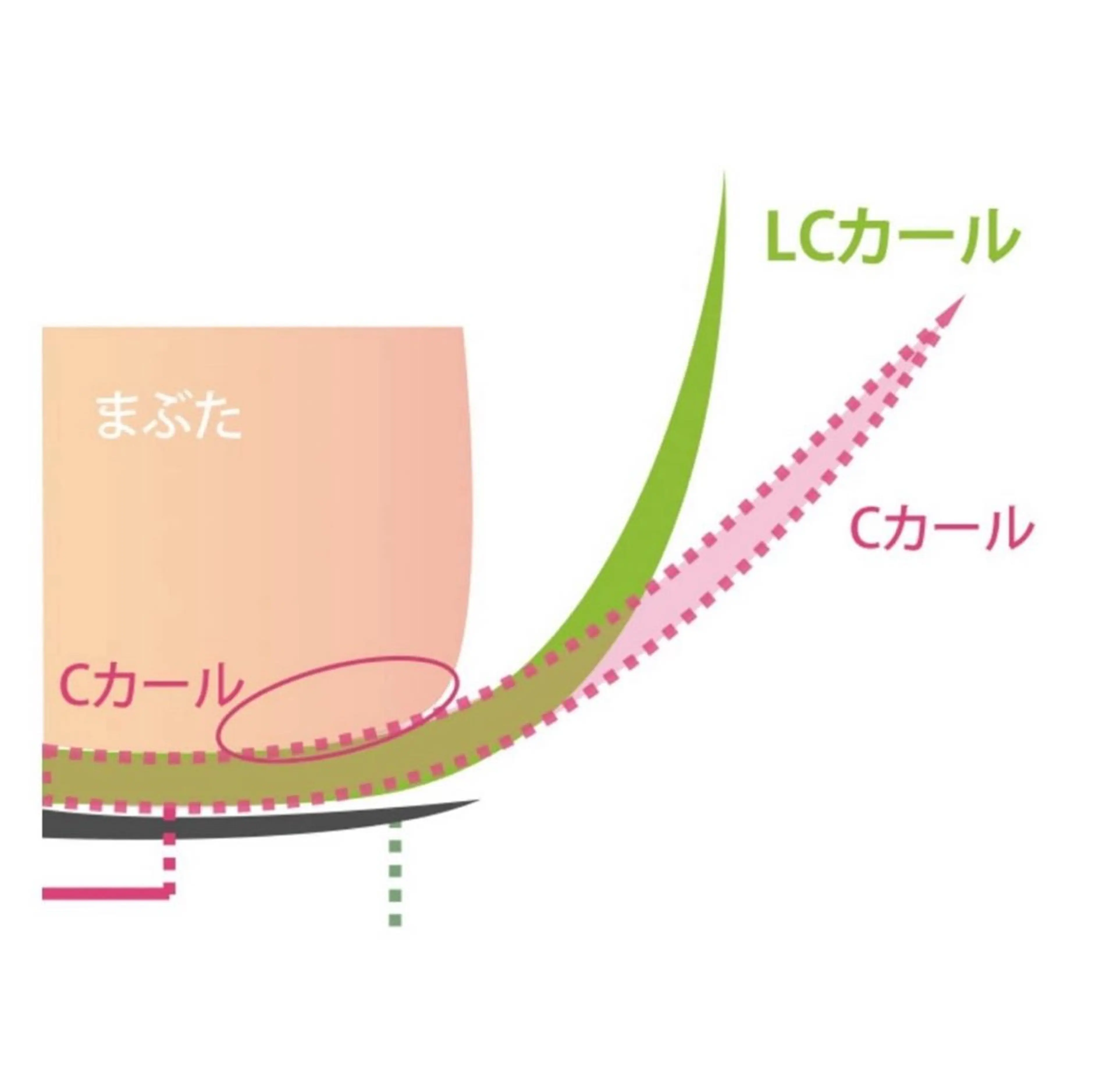 マツエク・マツパ Cカール フラットラッシュ 一重×まつ毛パーマ Z·Sunny Eyelashのマツエク・マツパデザイン