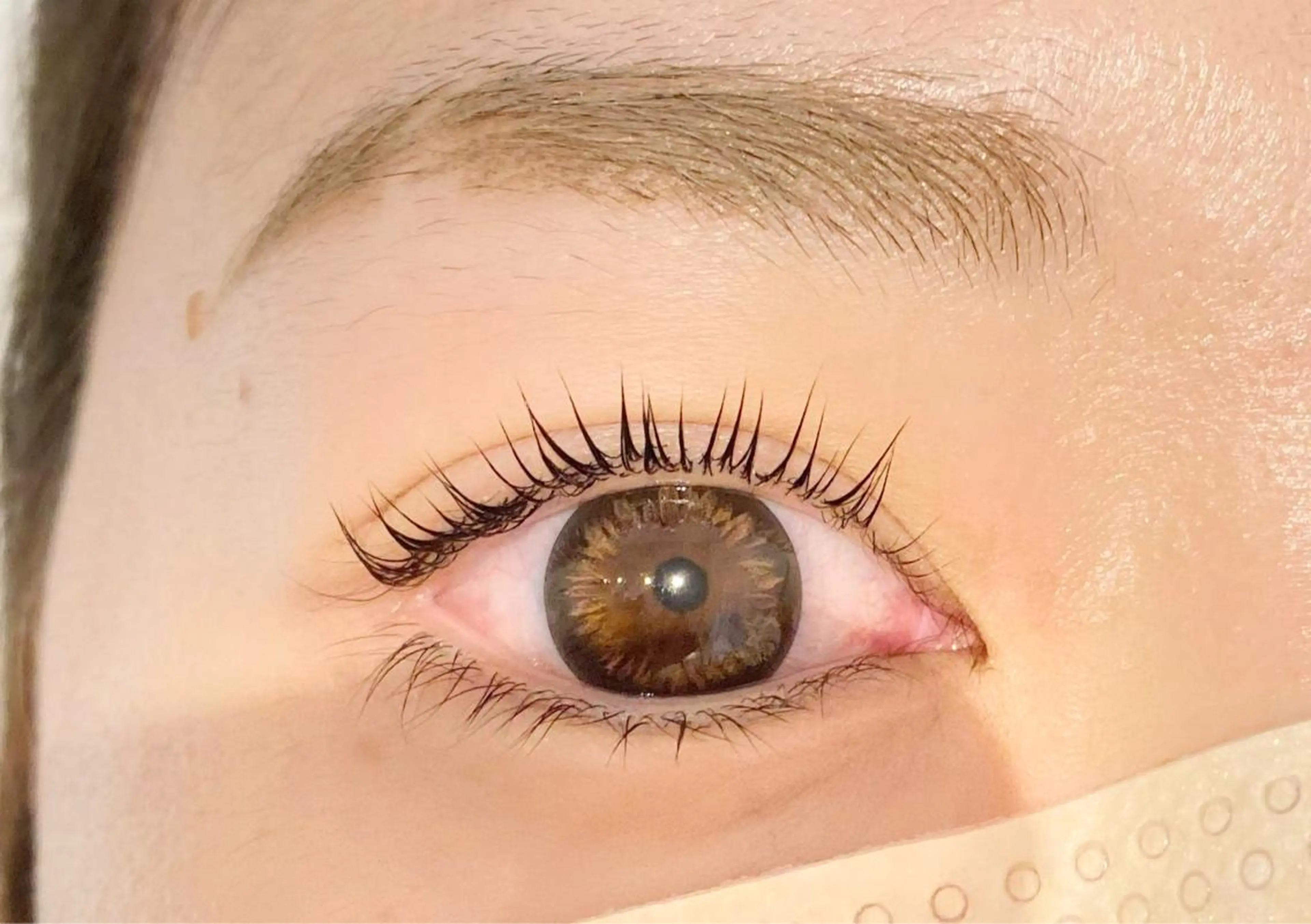 マツエク・マツパ パリジェンヌラッシュリフト 𓊆ᶠᵉᵉʸ𓊇 ᶜᴴᴵᴴᴬᴿᵁのマツエク・マツパデザイン