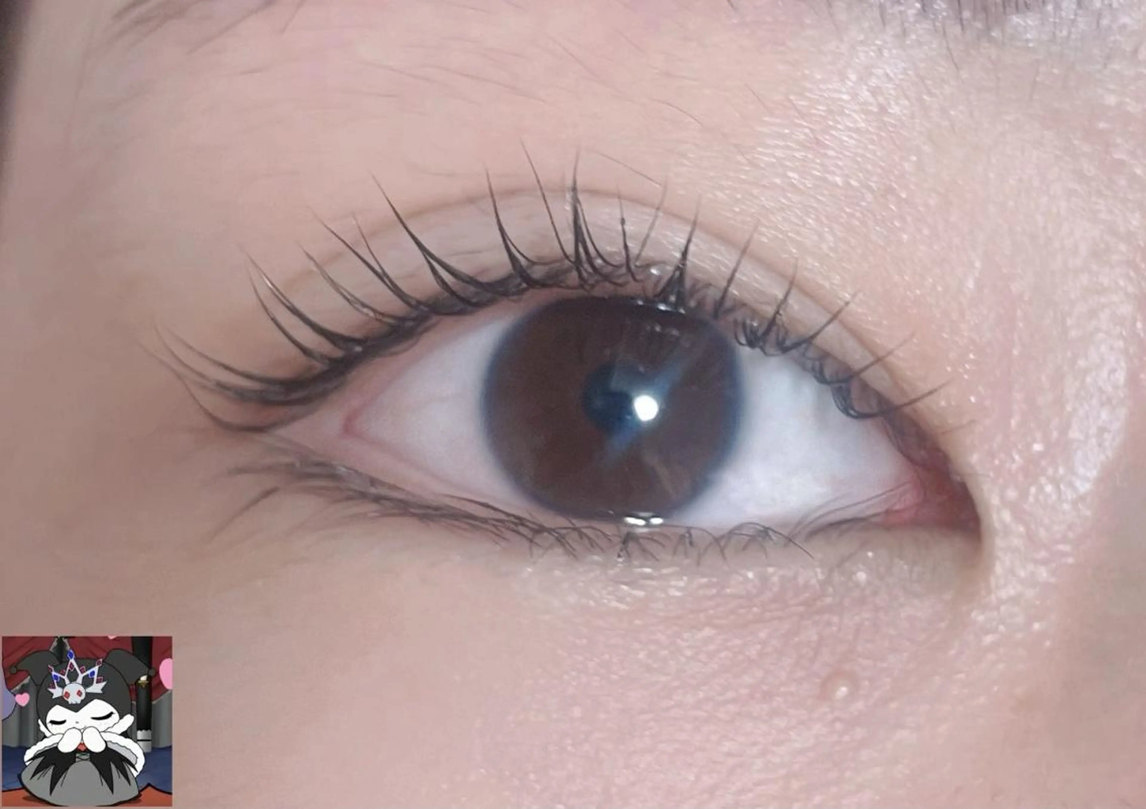 マツエク・マツパ モデル募集💖 by foiのマツエク・マツパデザイン