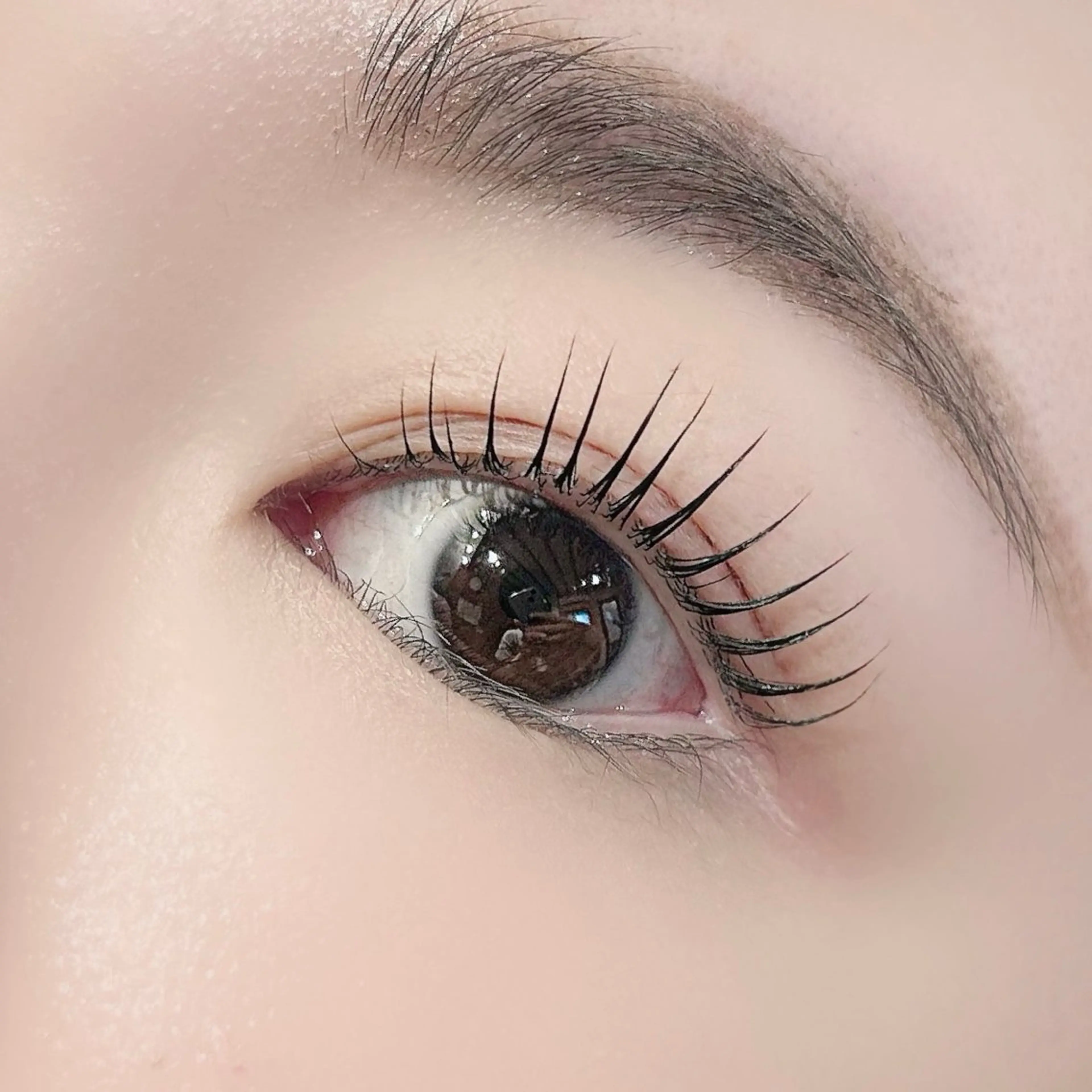 マツエク・マツパ マツパ シルメイリーHARU /束感/韓国まつ毛のマツエク・マツパデザイン