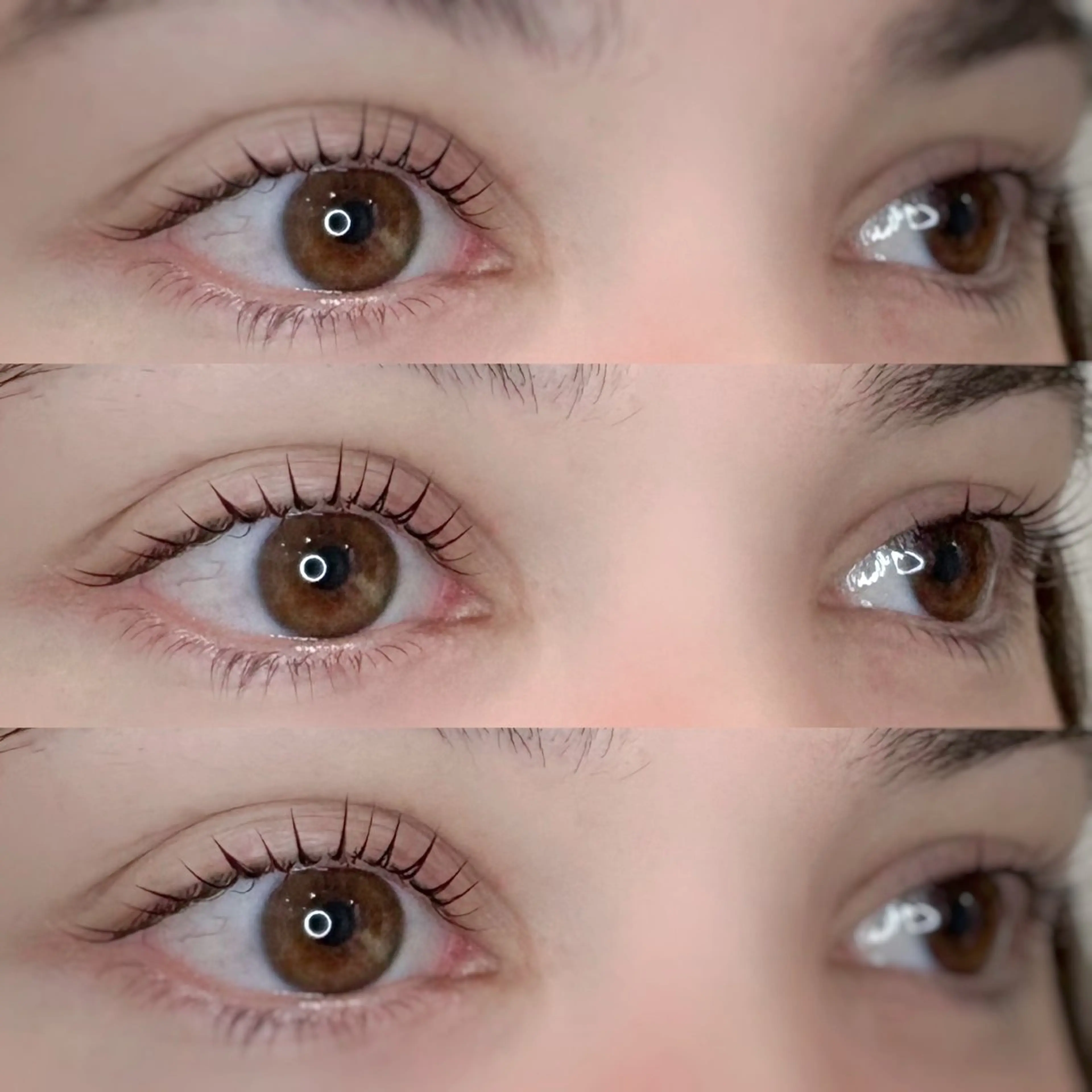 マツエク・マツパ 🐶 SAKI💎のマツエク・マツパデザイン