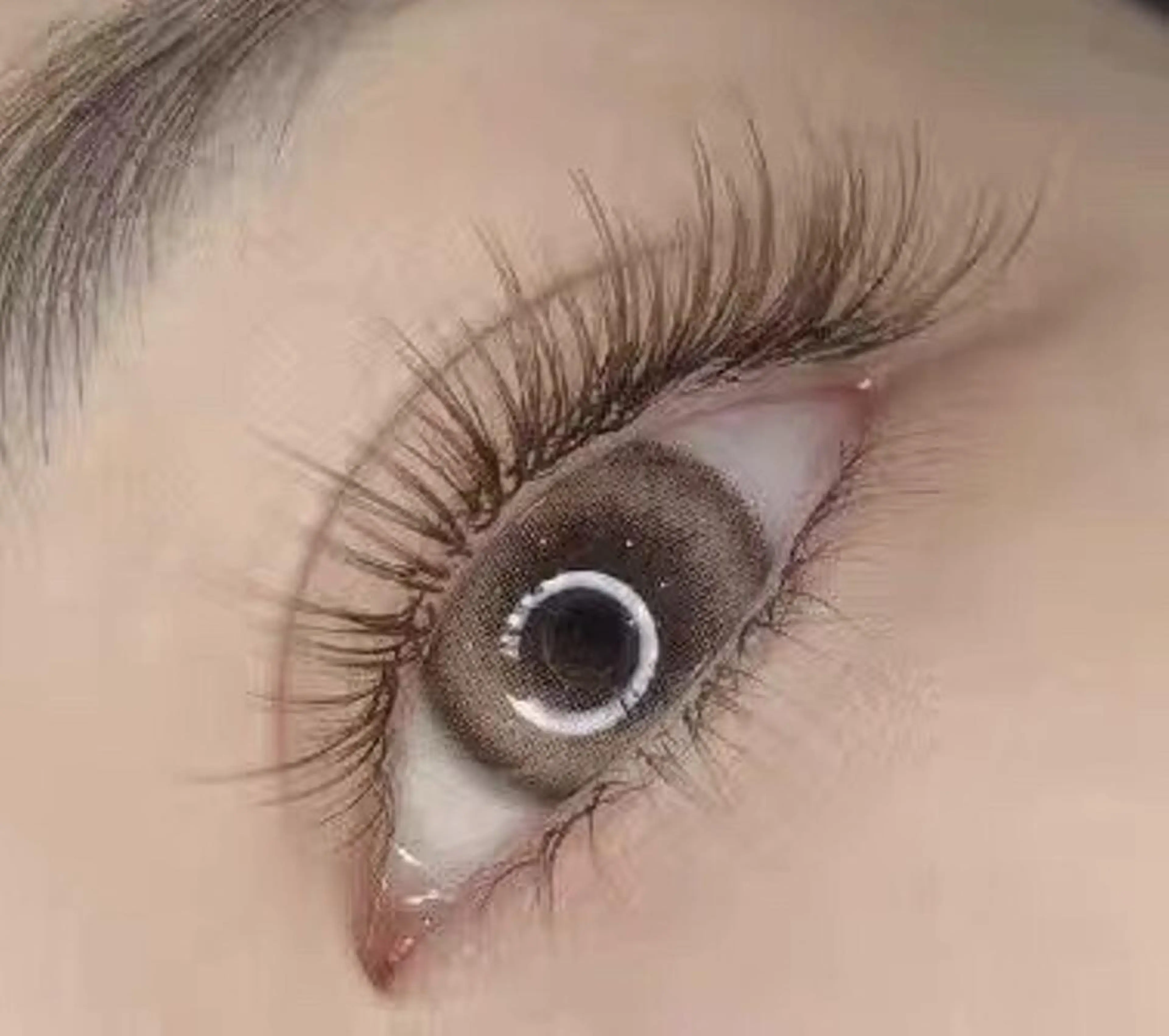 マツエク・マツパ Cカール ボリュームラッシュ Cute B e au t yのマツエク・マツパデザイン