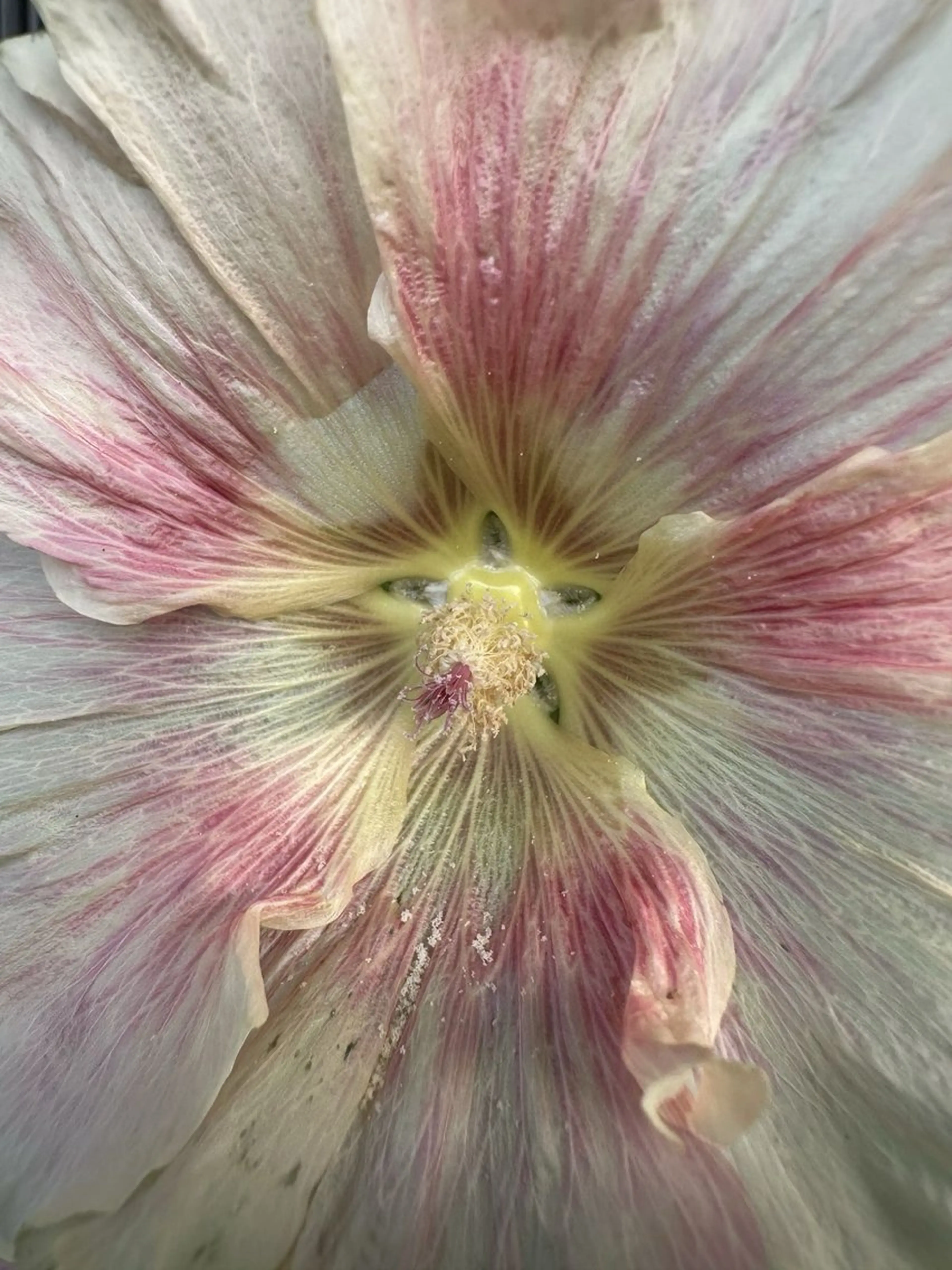 ネイル rina🎀 ご新規様受付中🌷のネイルデザイン