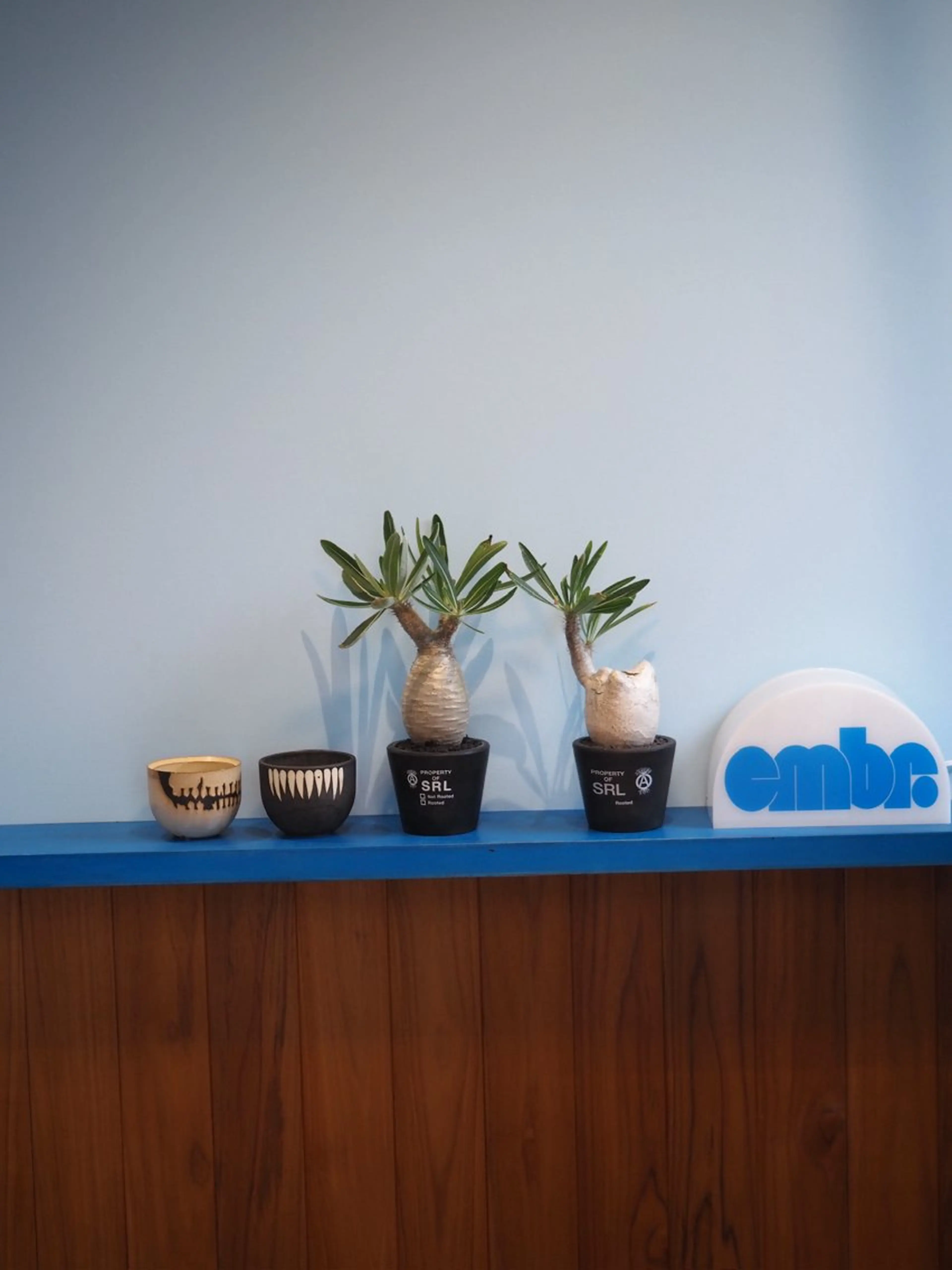 embr. アカマの眉毛・アイブロウイメージ