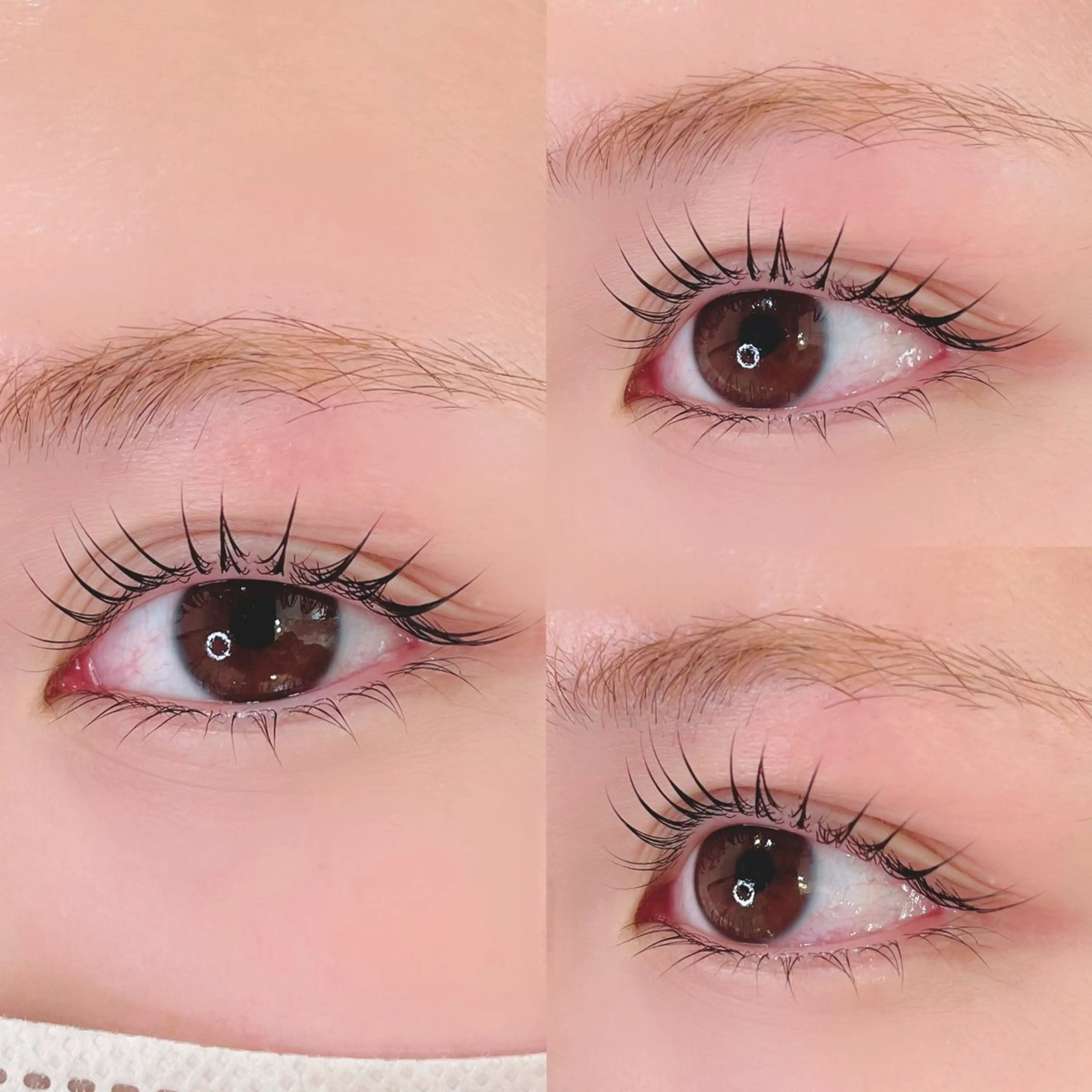 マツエク・マツパ マツパ Maaz lash6🍒のマツエク・マツパデザイン