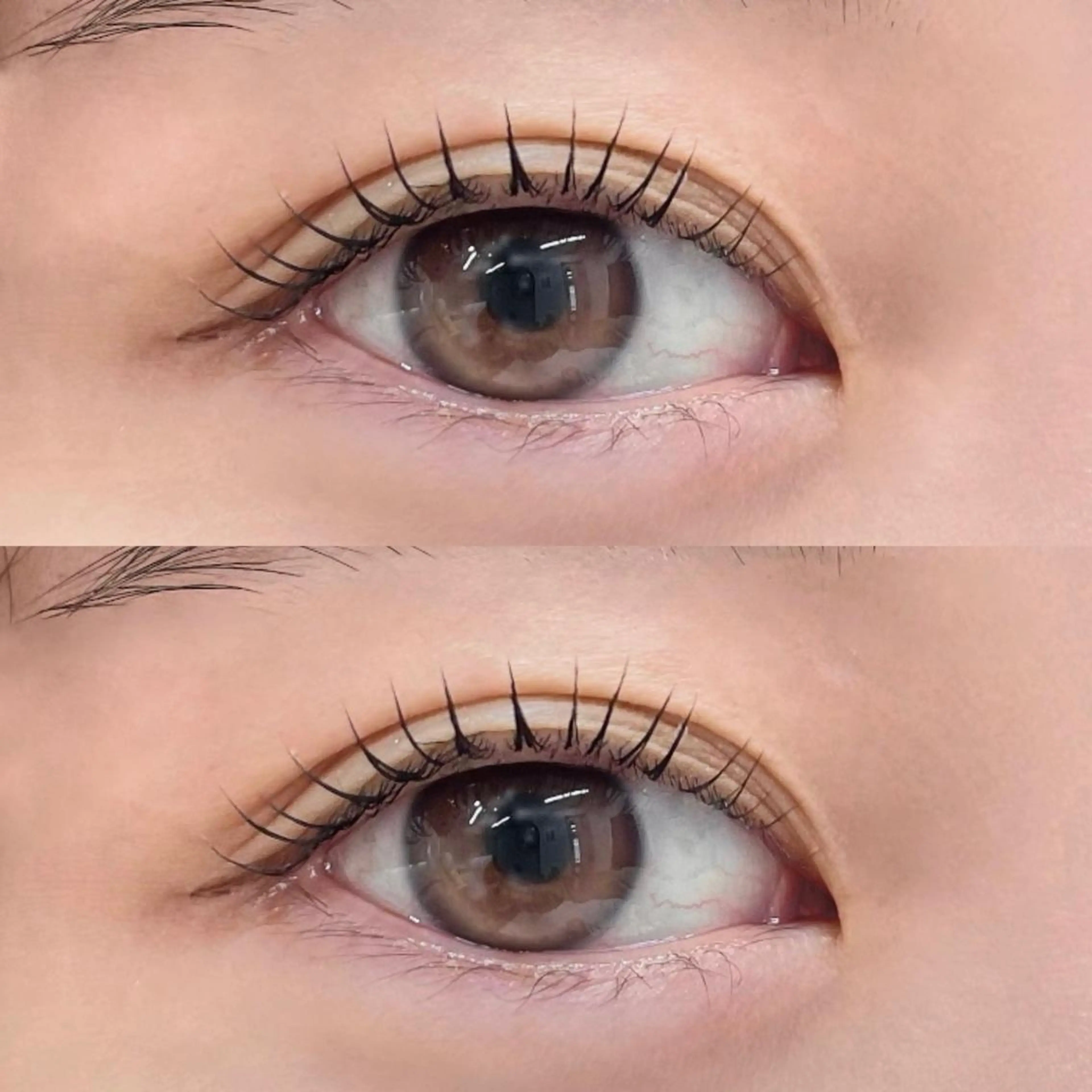 マツエク・マツパ マツパ shuon 武蔵境店所属・【武蔵境店】工藤 さくらのマツエク・マツパデザイン