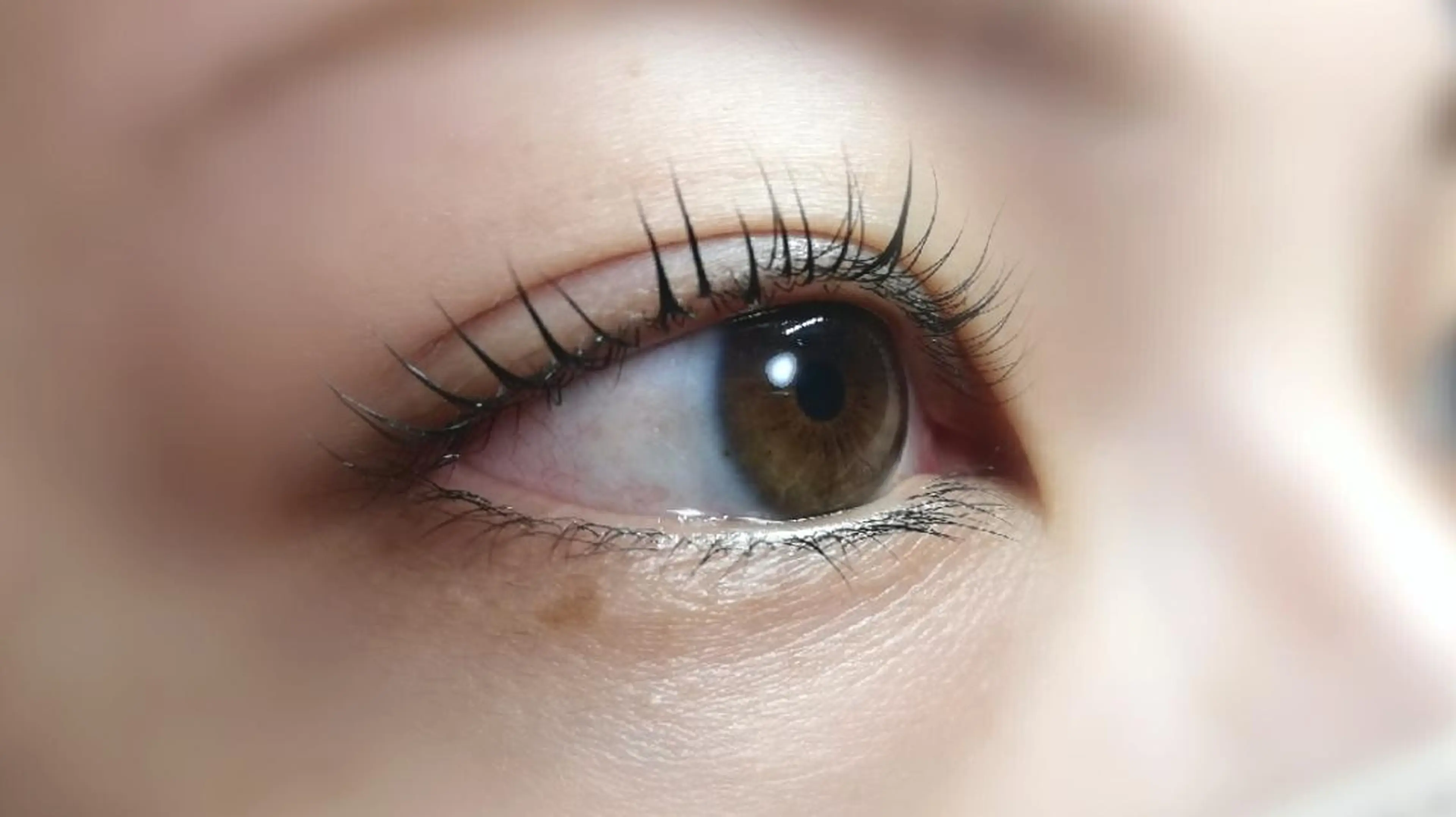 マツエク・マツパ Lカール 完全個室サロン🌹 angelux🌹のマツエク・マツパデザイン