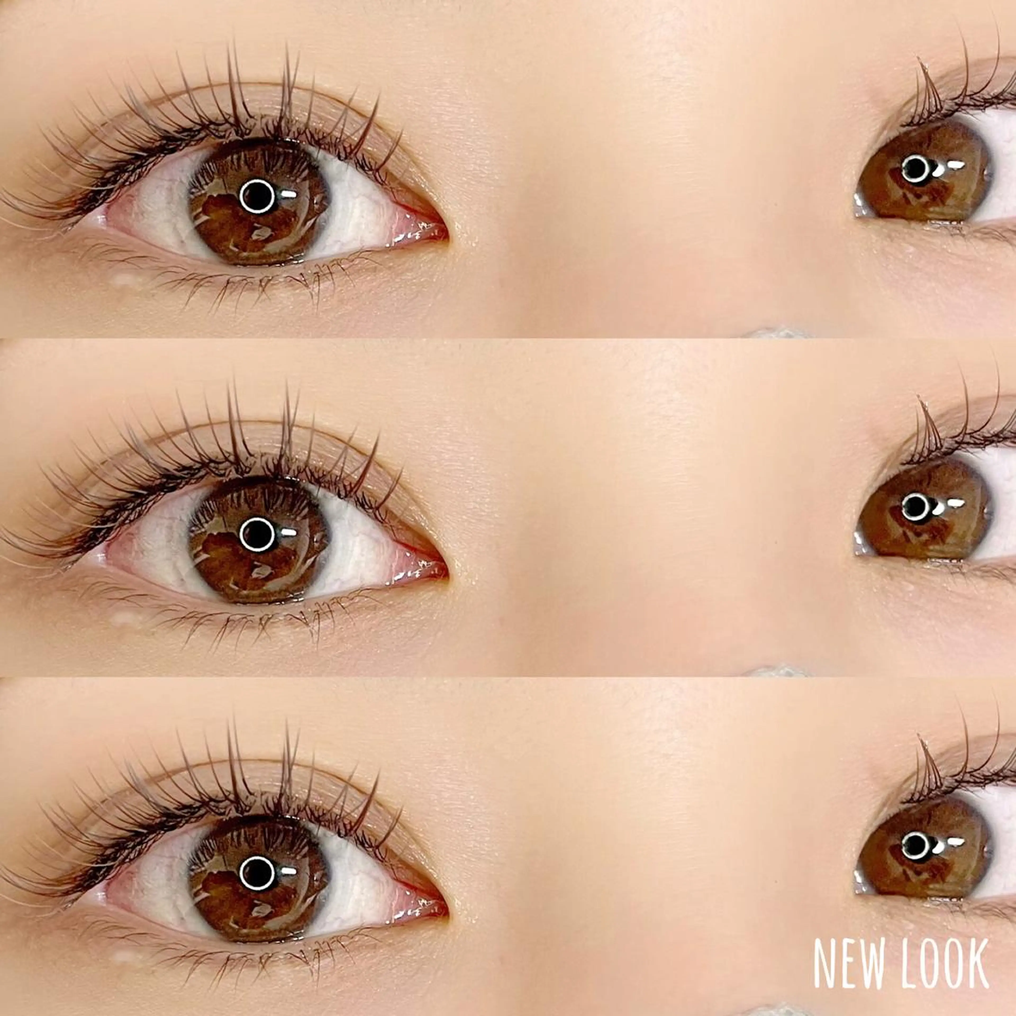 マツエク・マツパ マツエク NEW LOOKのマツエク・マツパデザイン