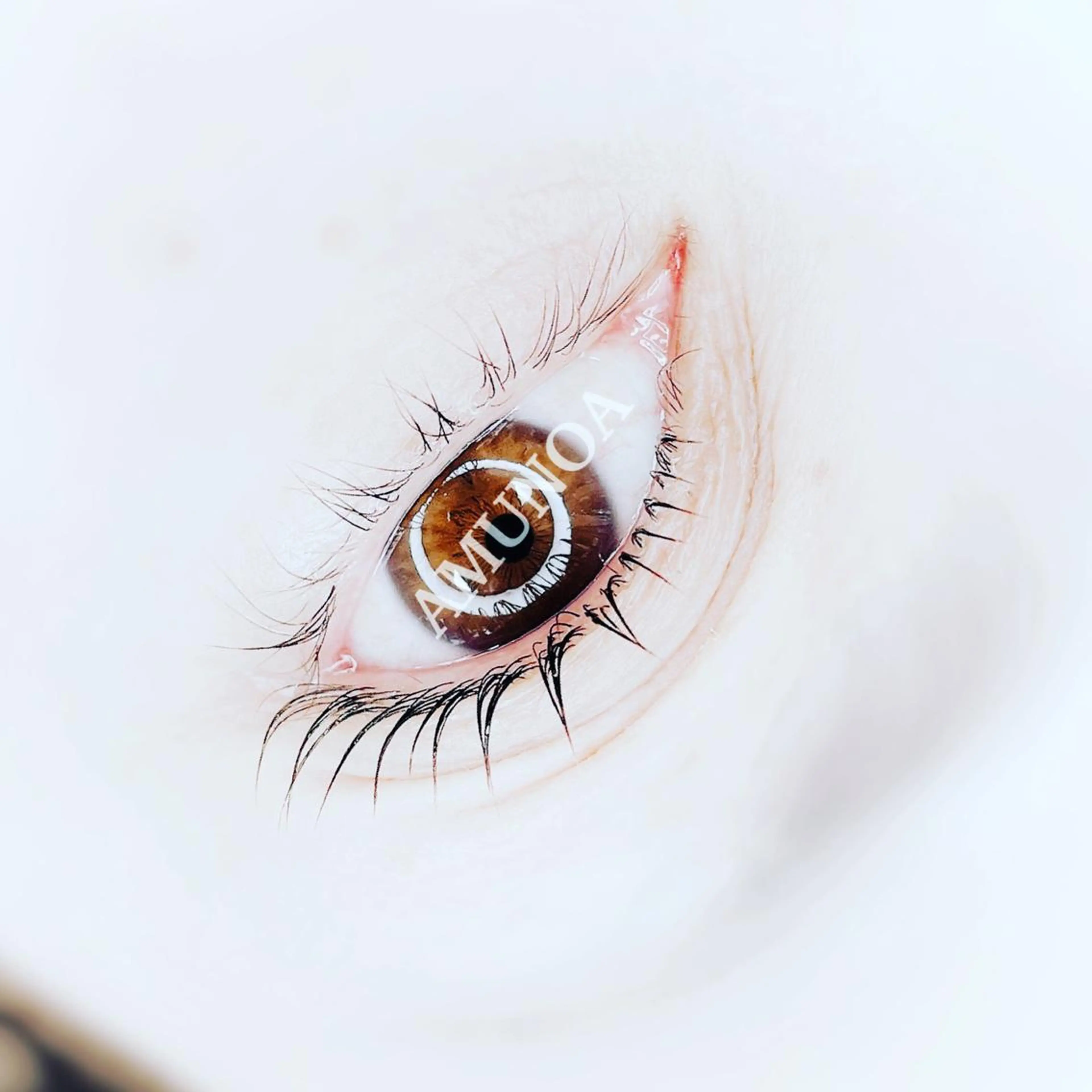 マツエク・マツパ まつげパーマ マツパ 美容室アムノア所属・美容室 AMUNOAのマツエク・マツパデザイン