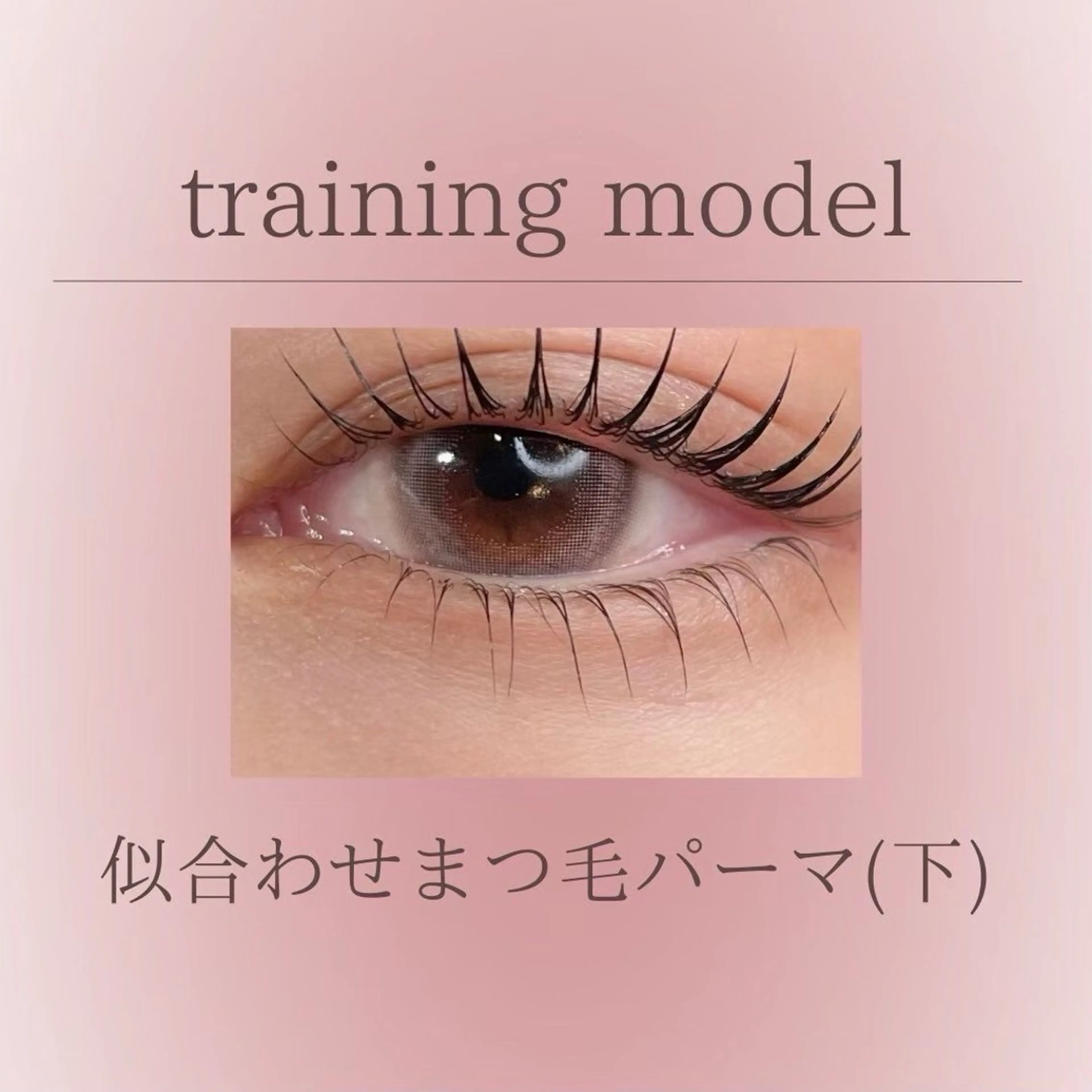 似合わせまつ毛パーマ(上下)  新規¥6,900の写真