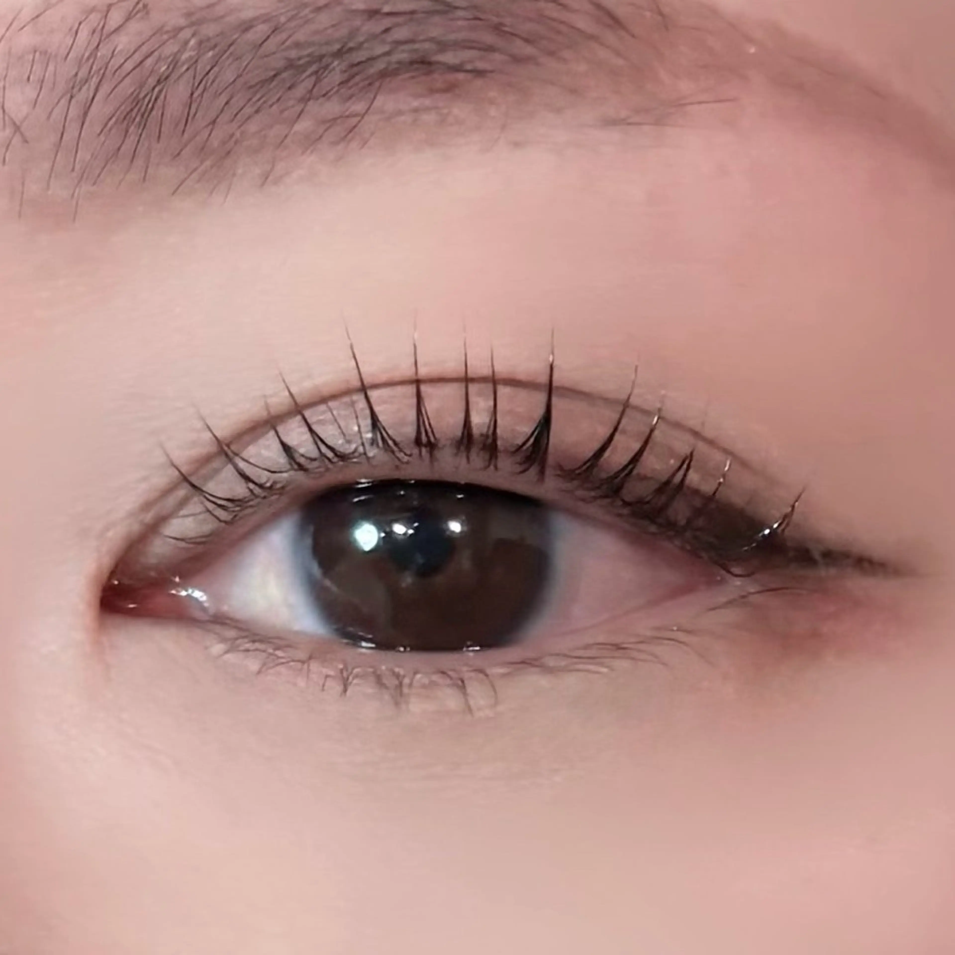 マツエク・マツパ マツパ CHERILY meiのマツエク・マツパデザイン