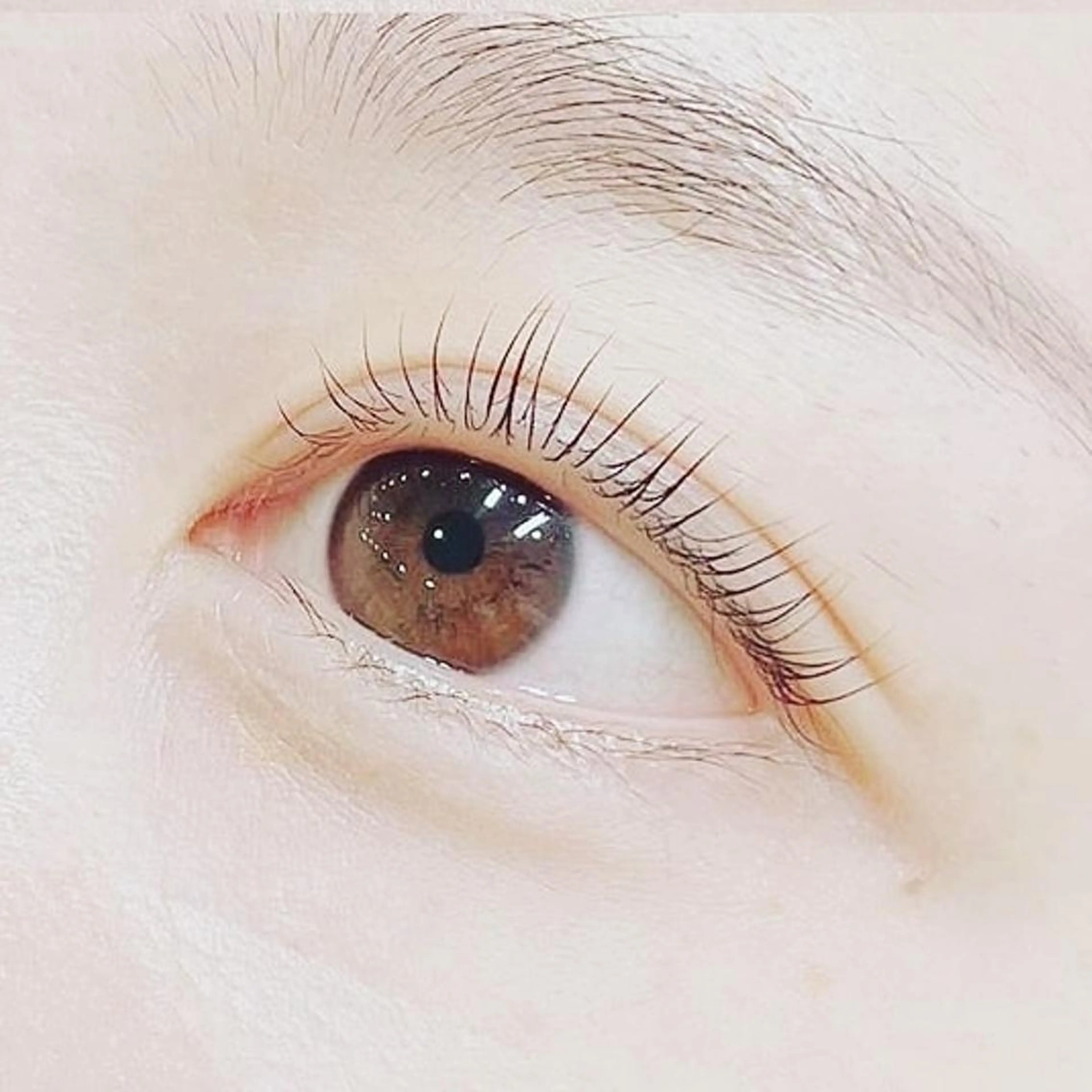 ⭐[再来]ラッシュリフトの写真