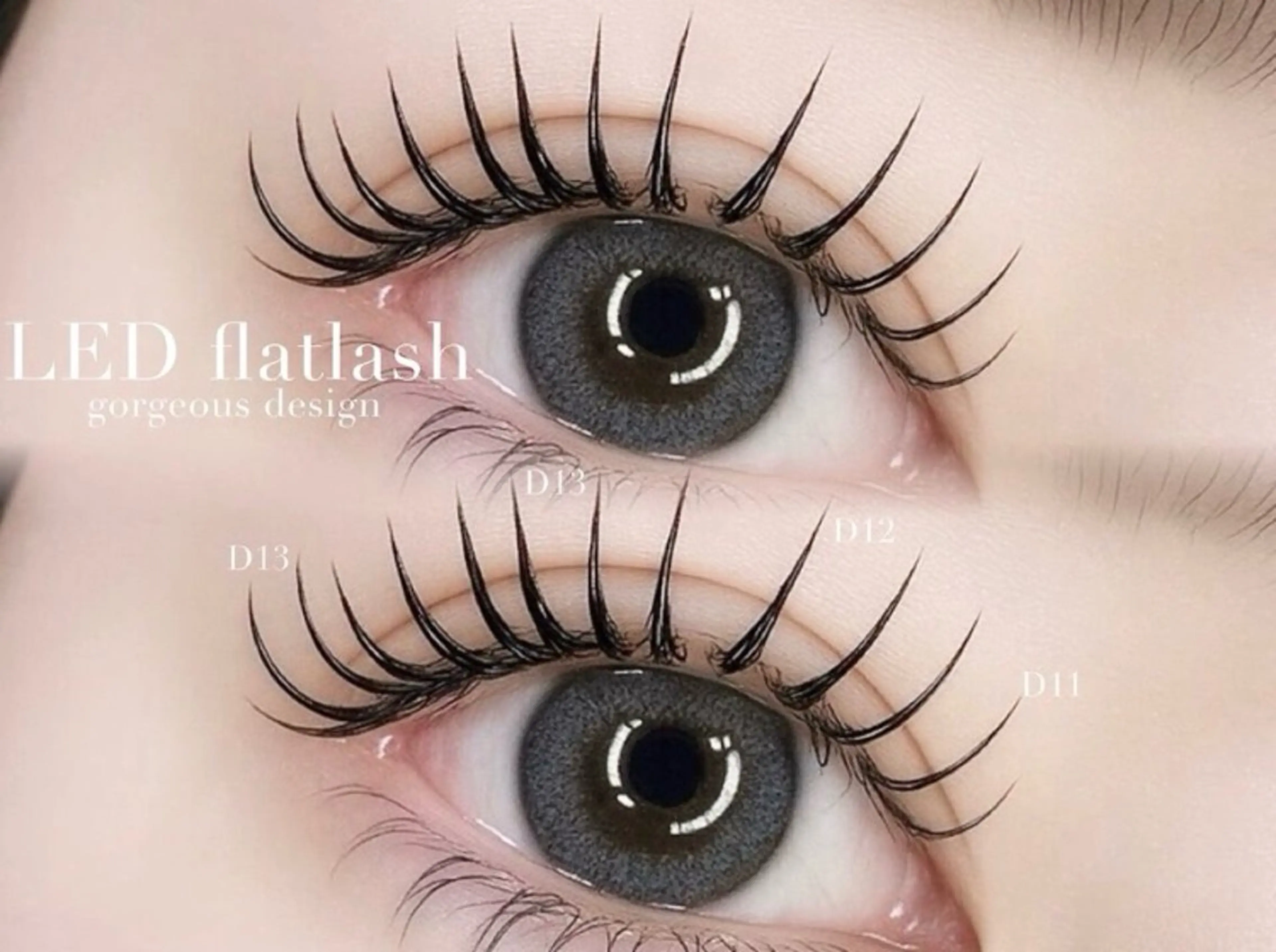 🧸【LEDマツエク】フラットラッシュ120迄🧚🏼 束感コーティング付 (カラーエクステ🉑)の写真