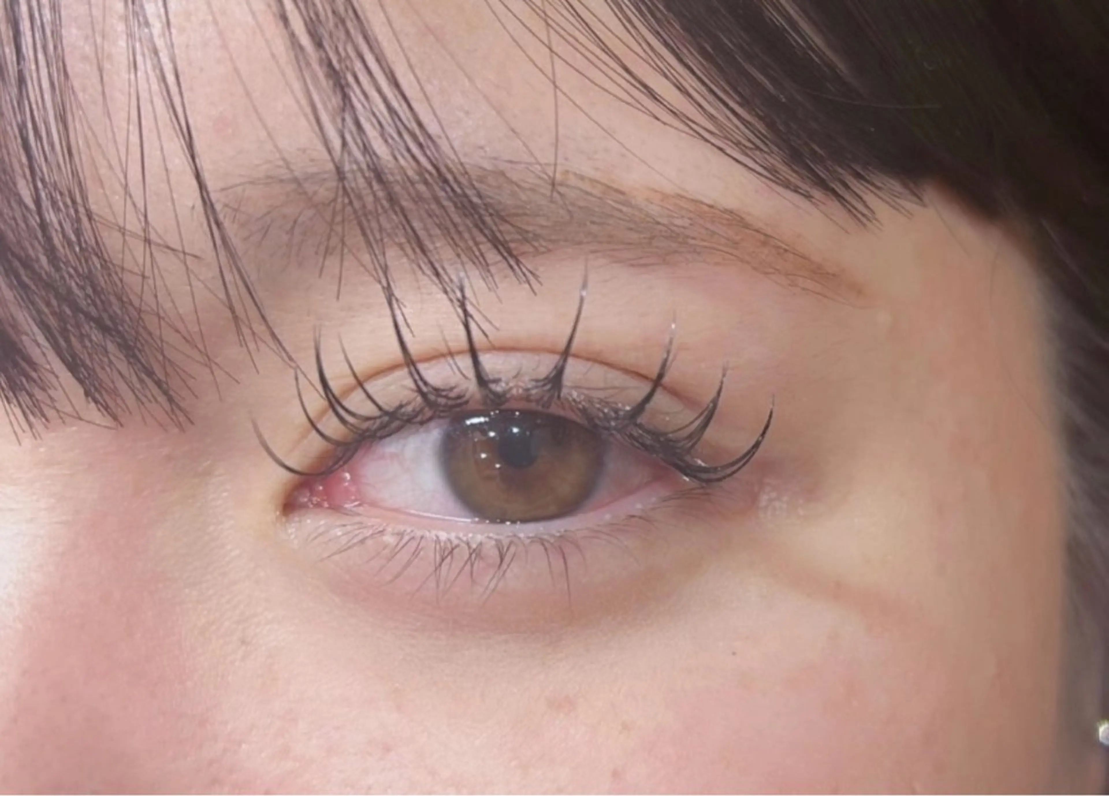 セーブル100本🎀束間コーティング付き🎀の写真