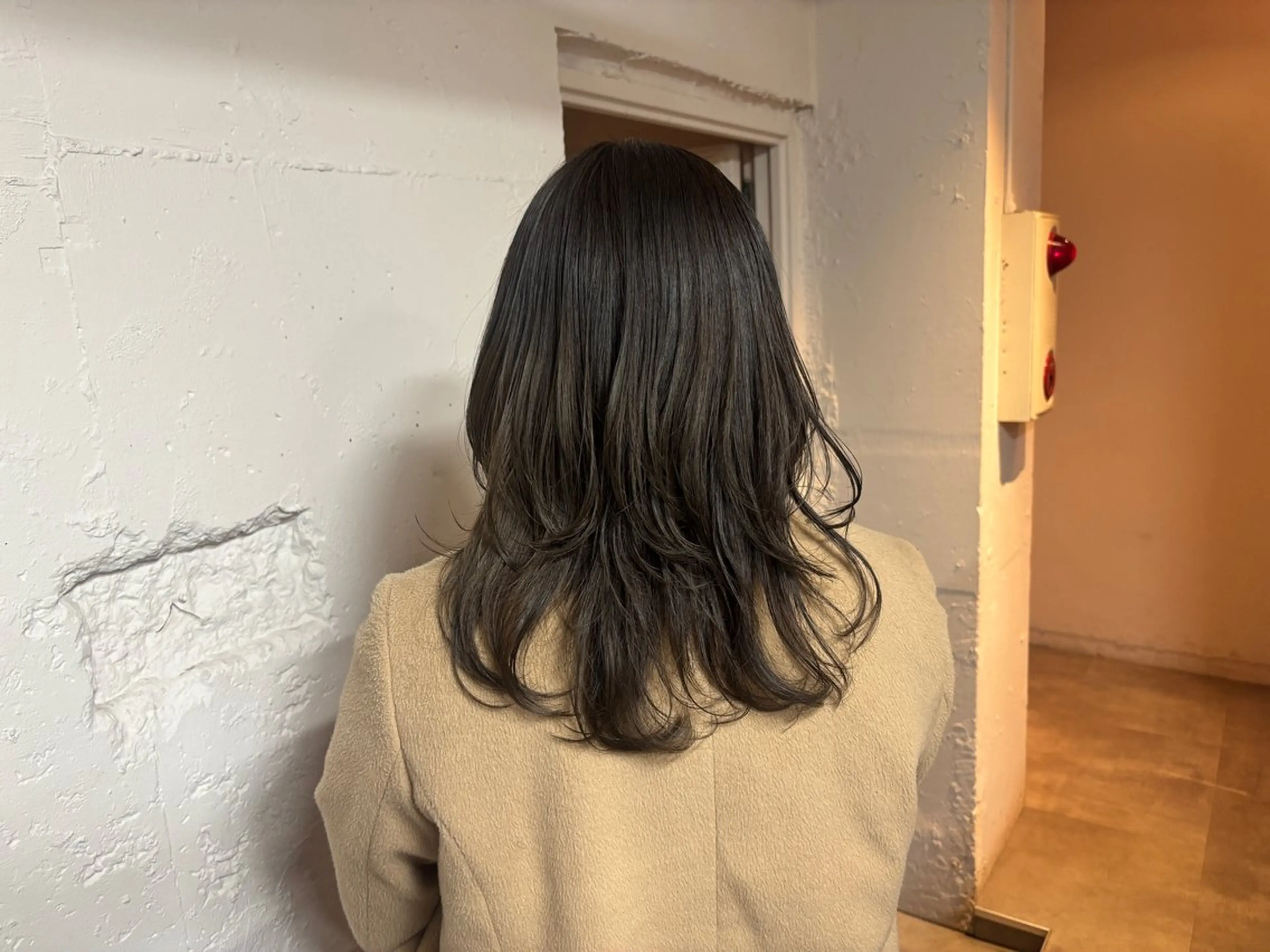 セミロング カラー 🩵似合わせカット SEIRA🩵のヘアスタイル