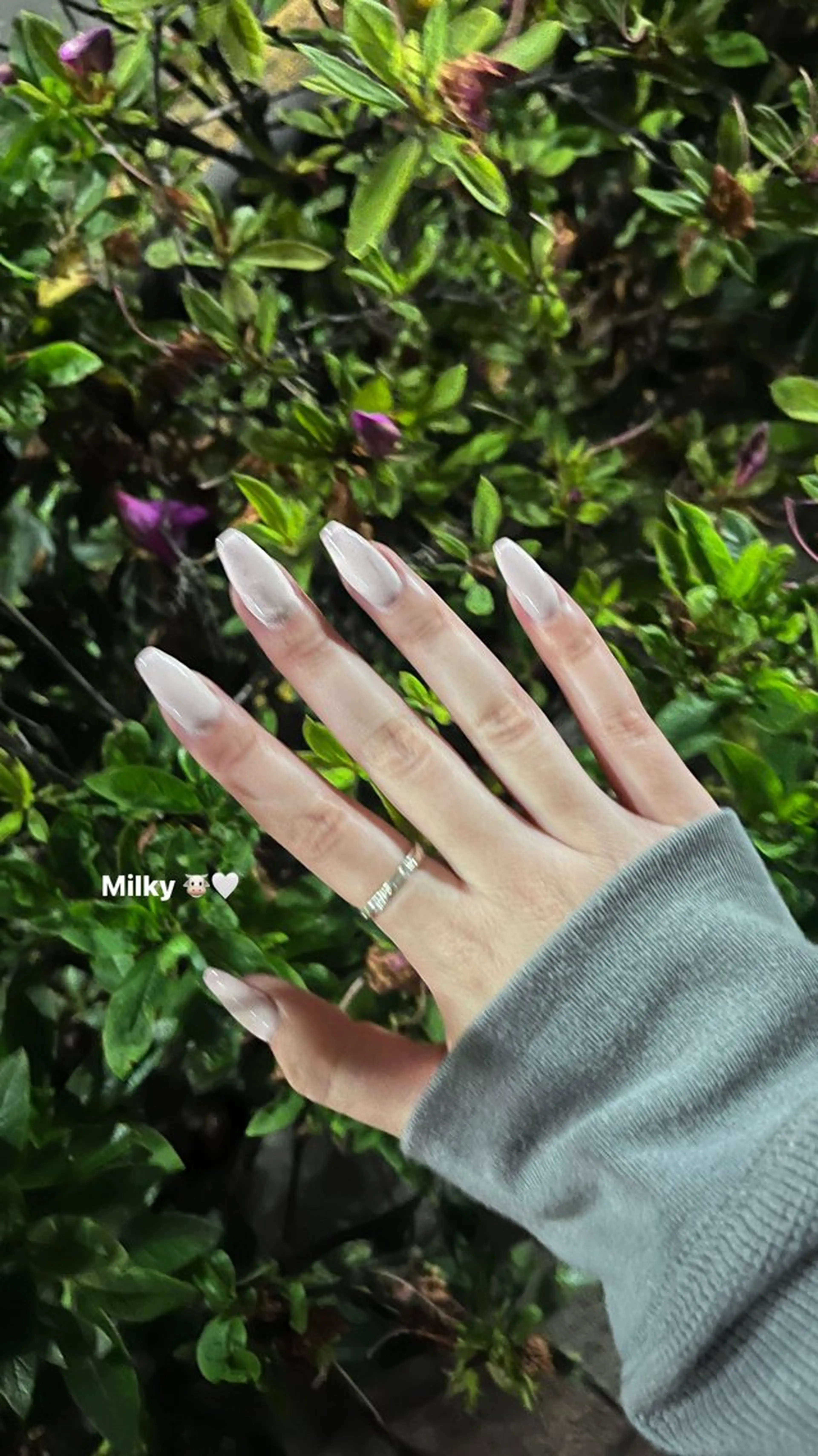 ネイル ハンドネイル niconail 🧣ayu 📍烏山のネイルデザイン