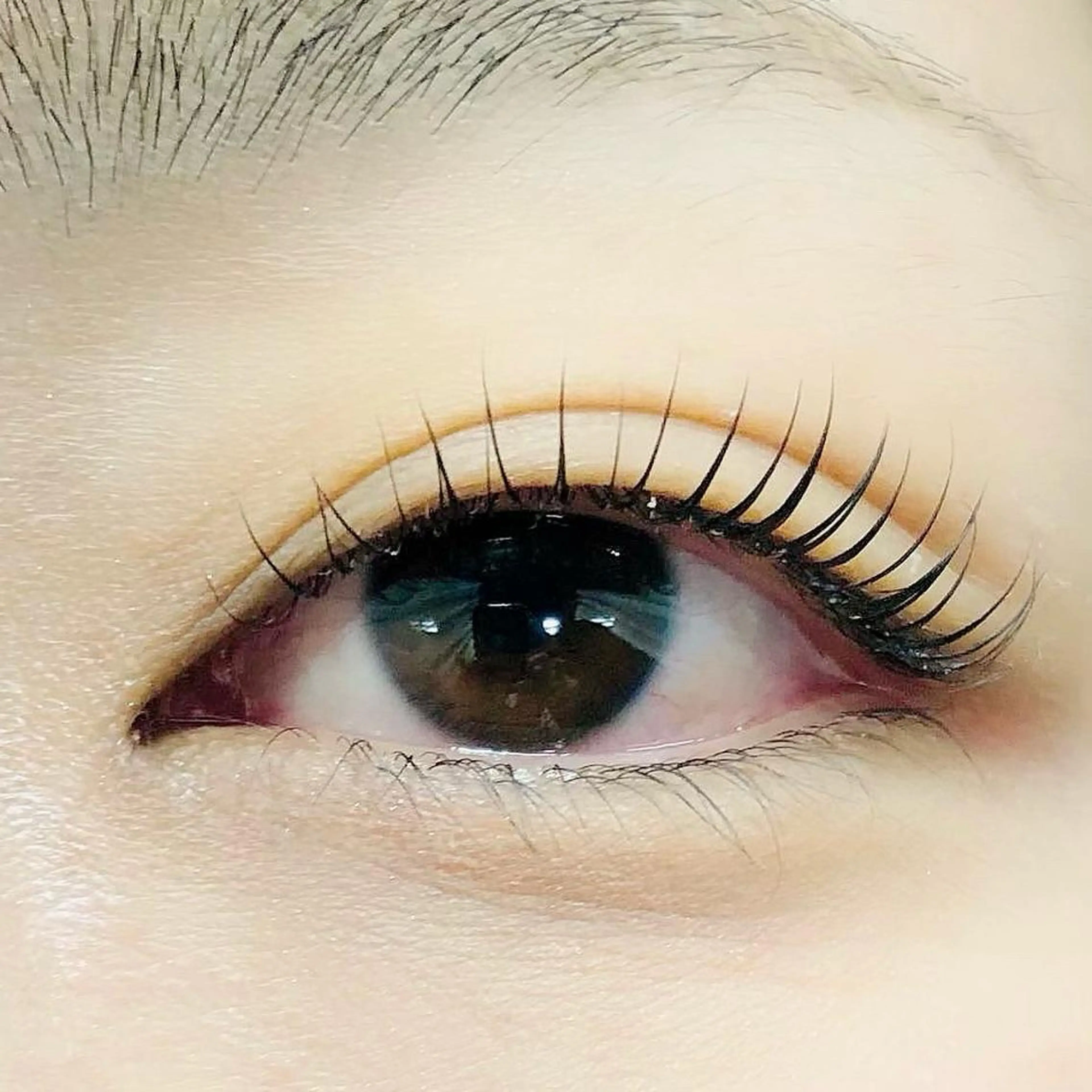 マツエク・マツパ private    salon moco所属・まつ毛&ワックス脱毛 tomoの眉毛・アイブロウイメージ