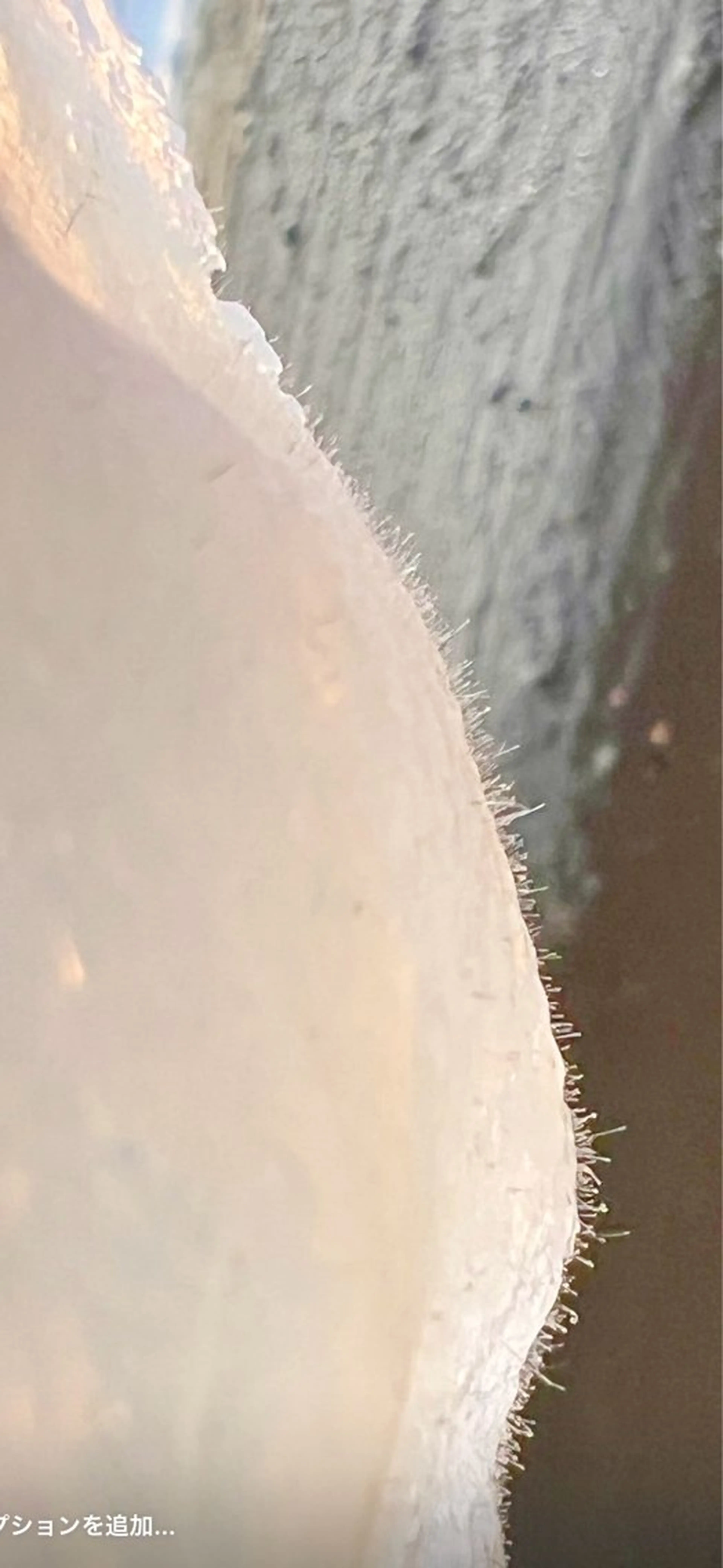 エステ 杉本 里保のその他イメージ