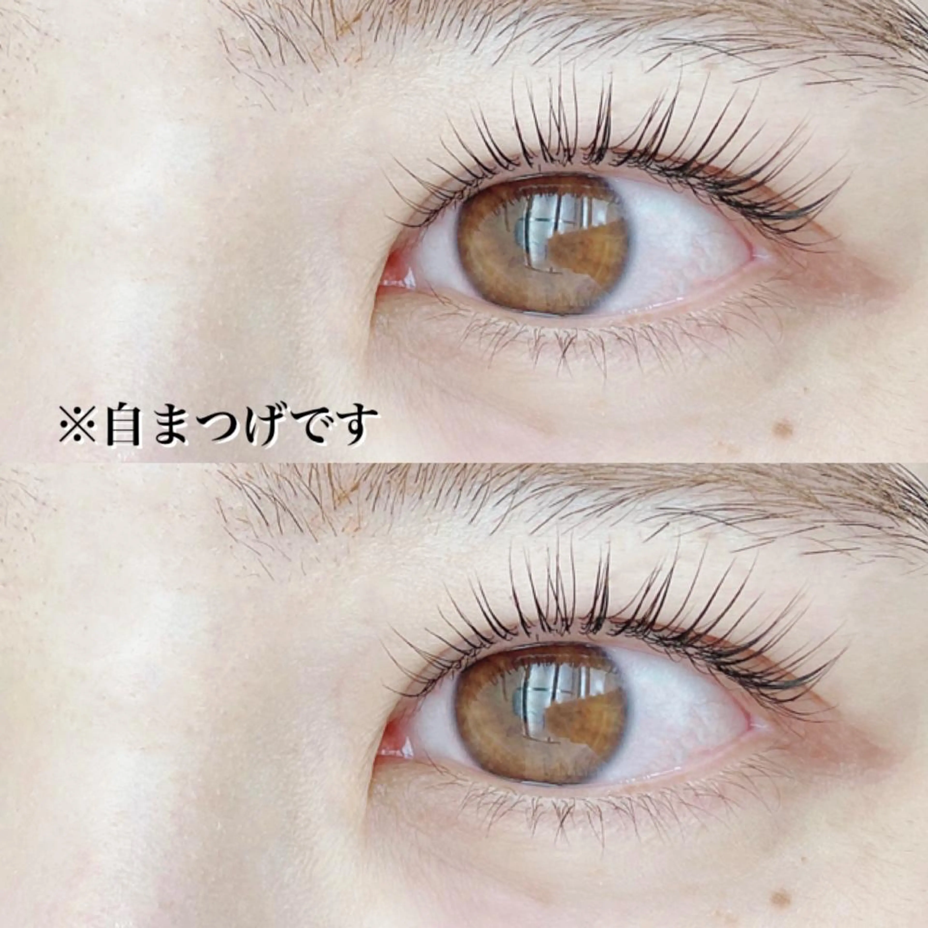 マツエク・マツパ まつげパーマ oma 🕊MISAKIのマツエク・マツパデザイン