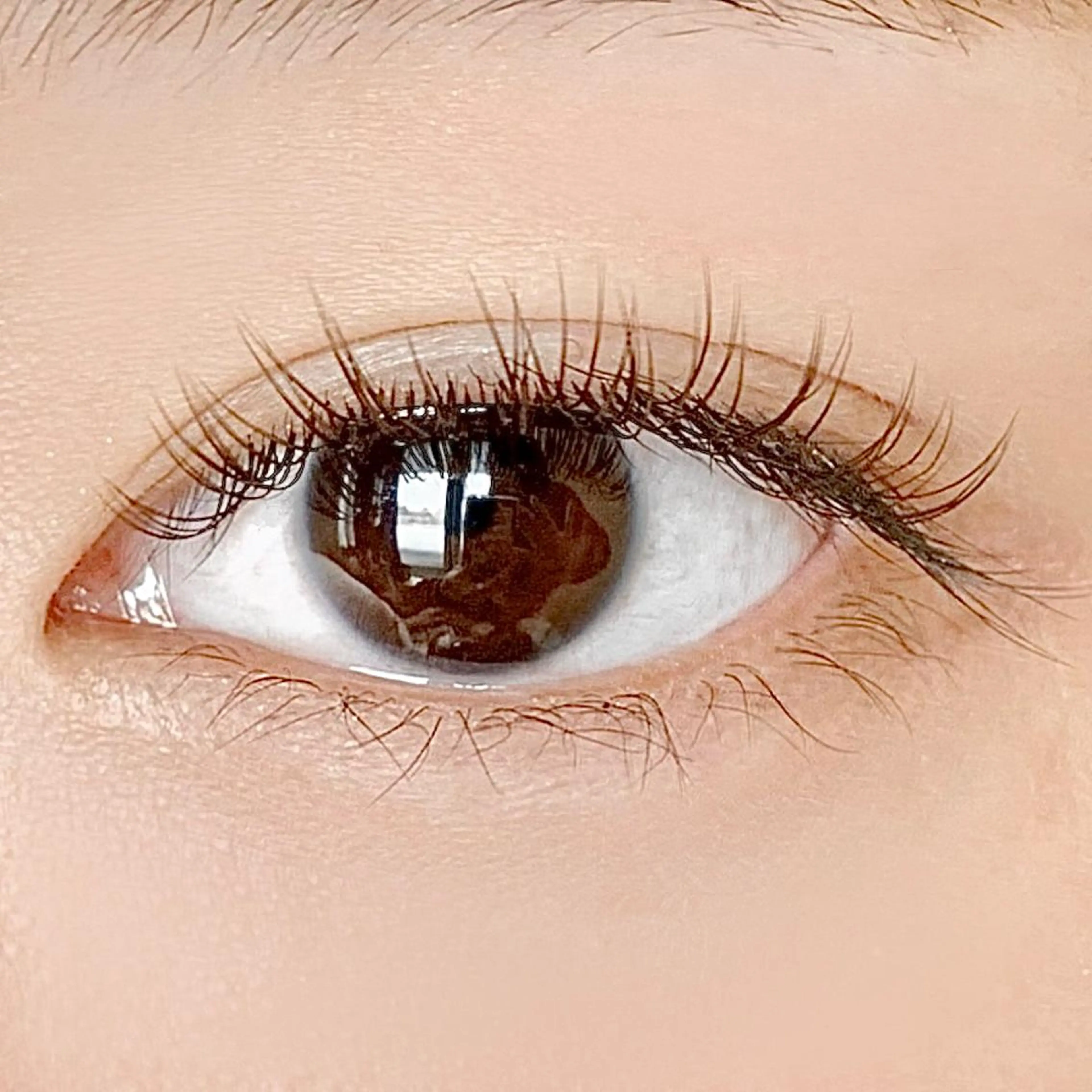 マツエク・マツパ ナチュラル マツエク Fukushi📍 【5/31最終出勤】のマツエク・マツパデザイン