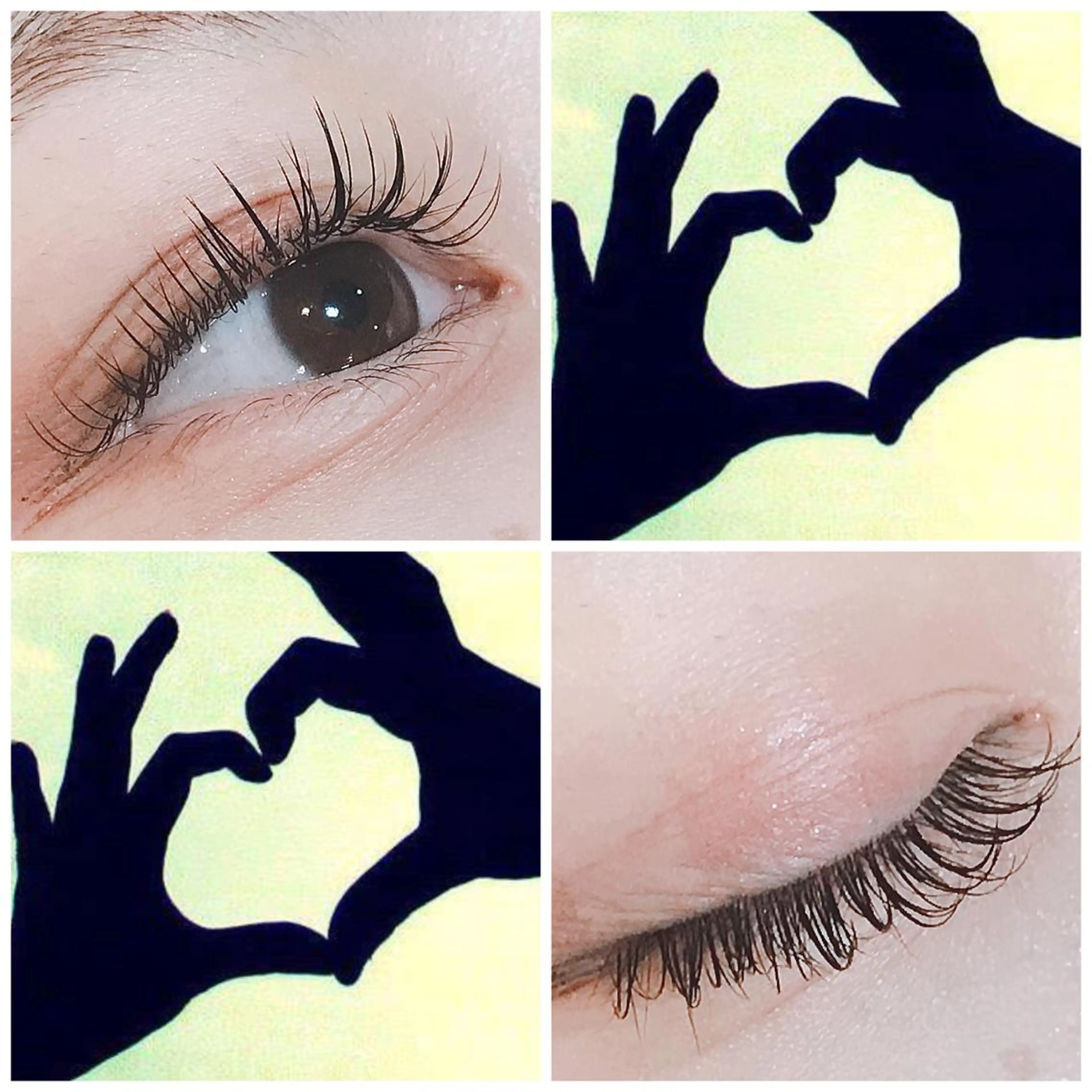 マツエク・マツパ 付け放題 フラットラッシュ Raviliss 武田のマツエク・マツパデザイン