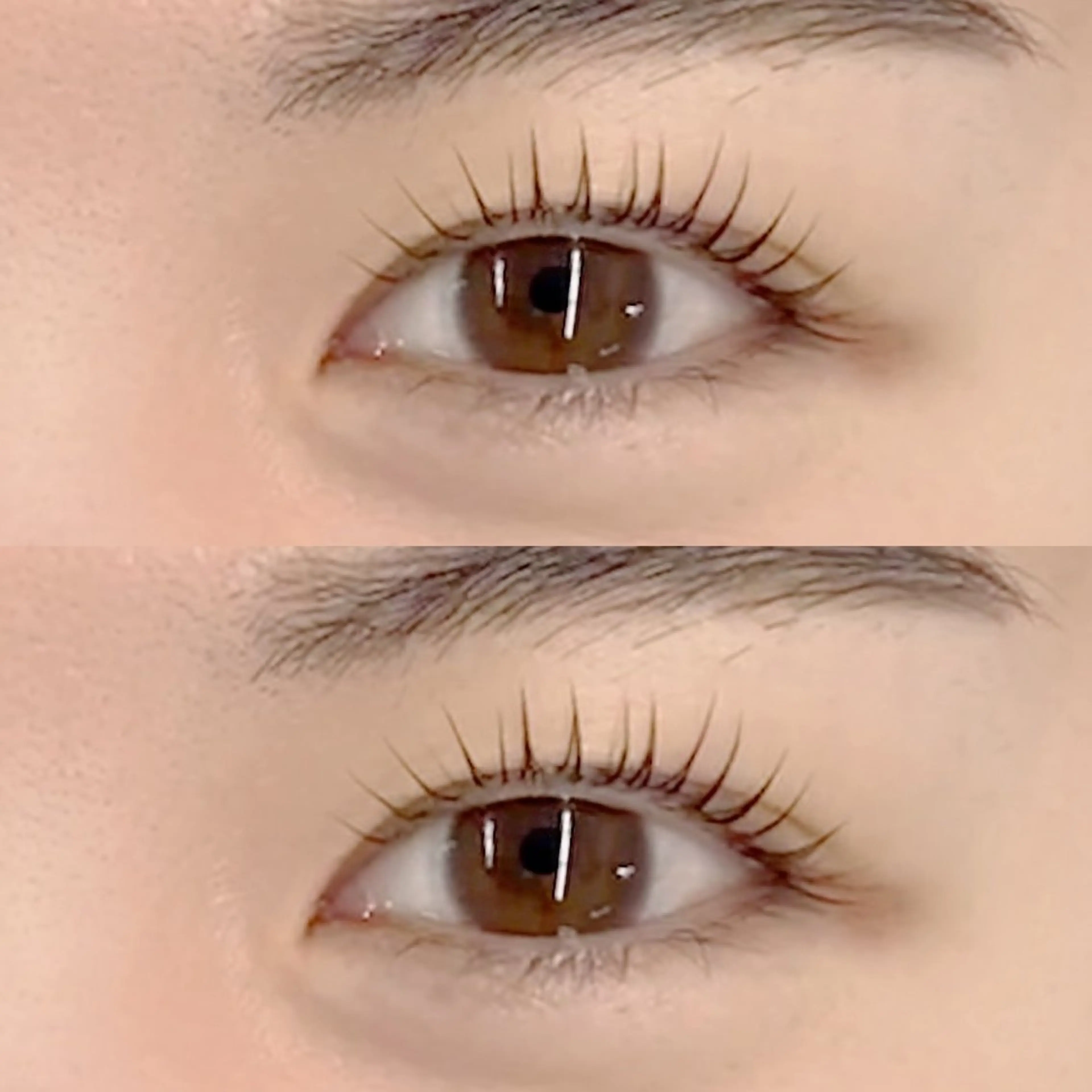 マツエク・マツパ まつげパーマ フジ ワラのマツエク・マツパデザイン