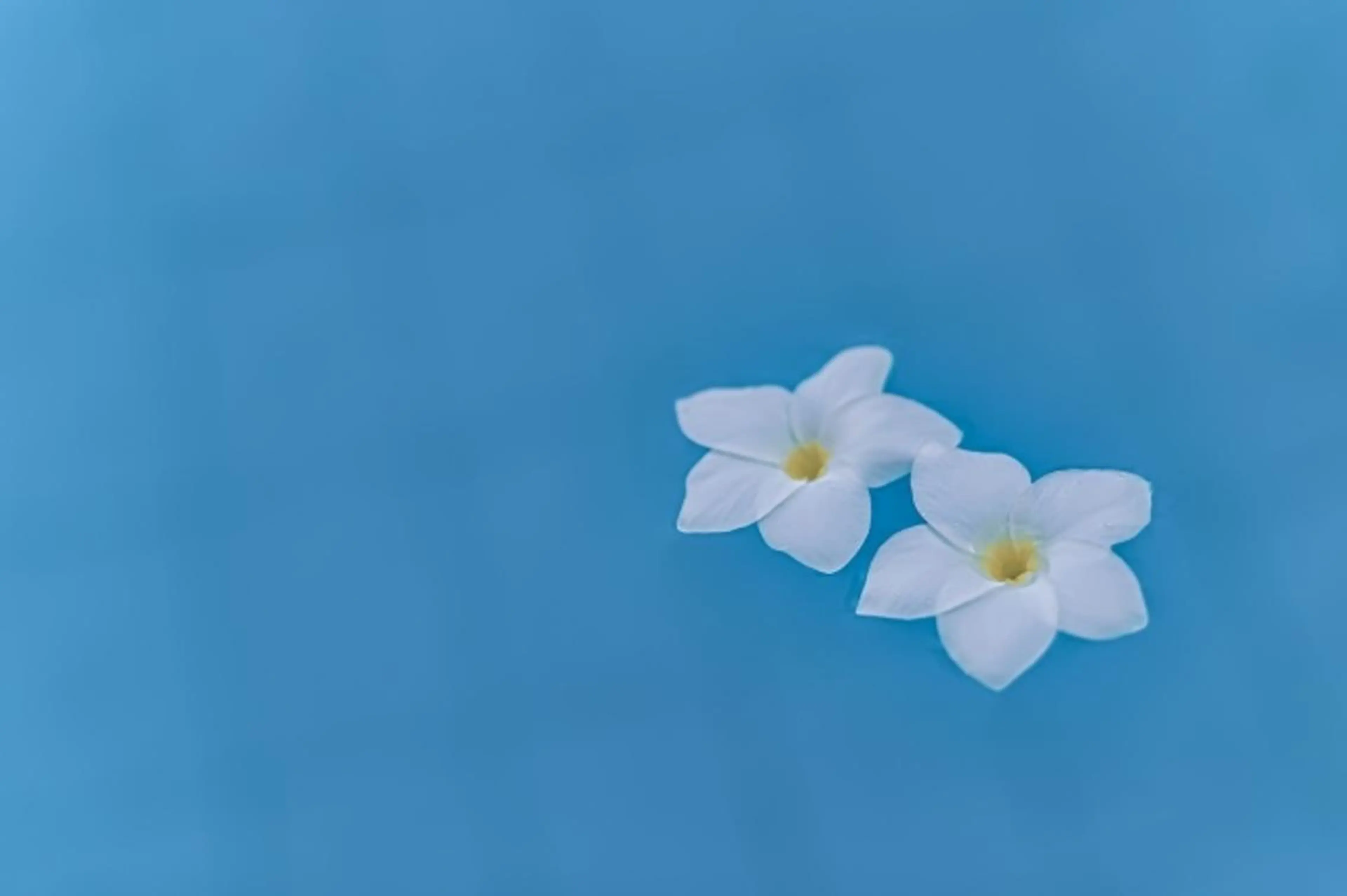 足つぼ&温活アロマ みどりの時間のエステ・リラクイメージ