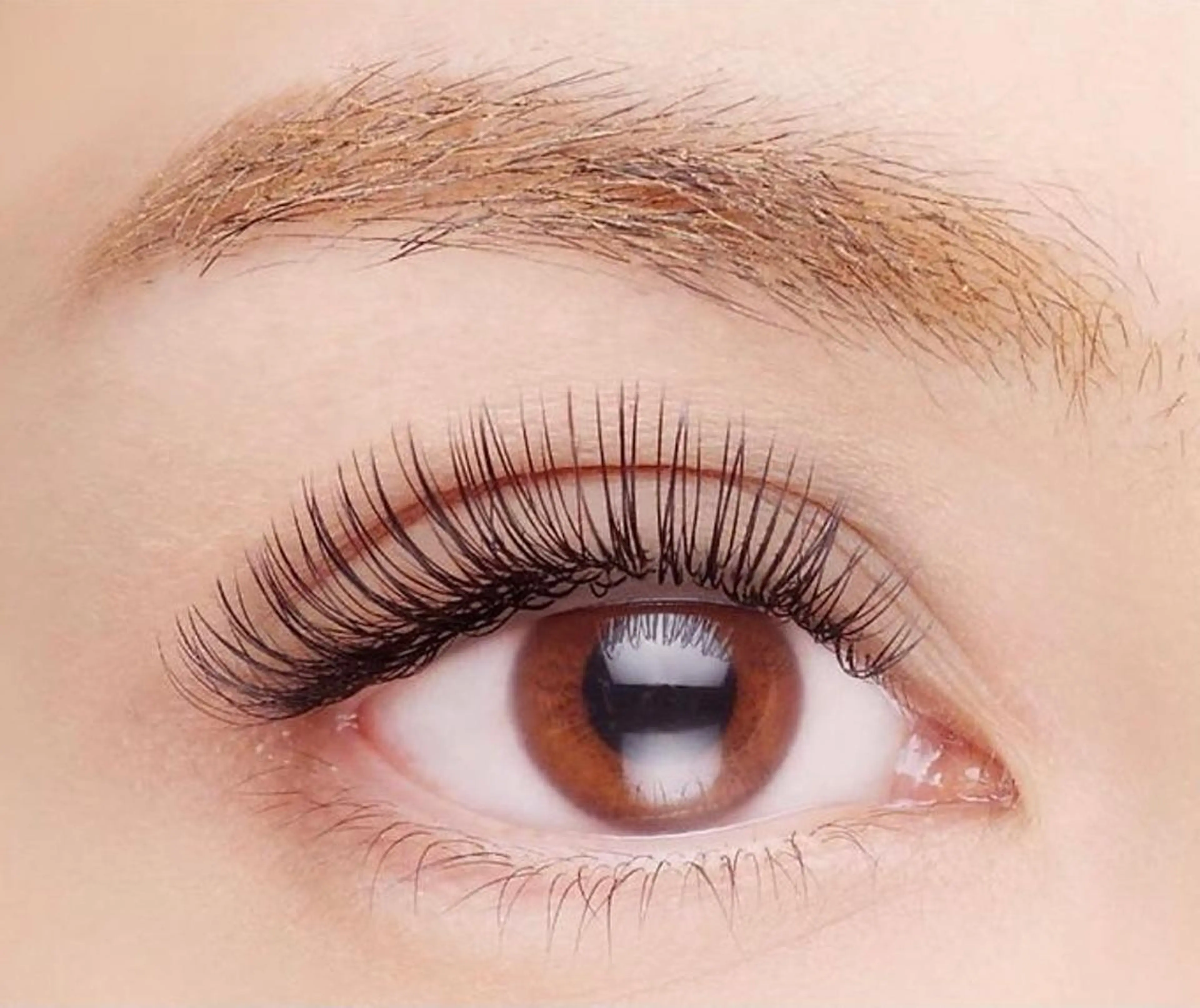 ご新規様特別価格✴︎フラットマットラッシュ両目100本の写真