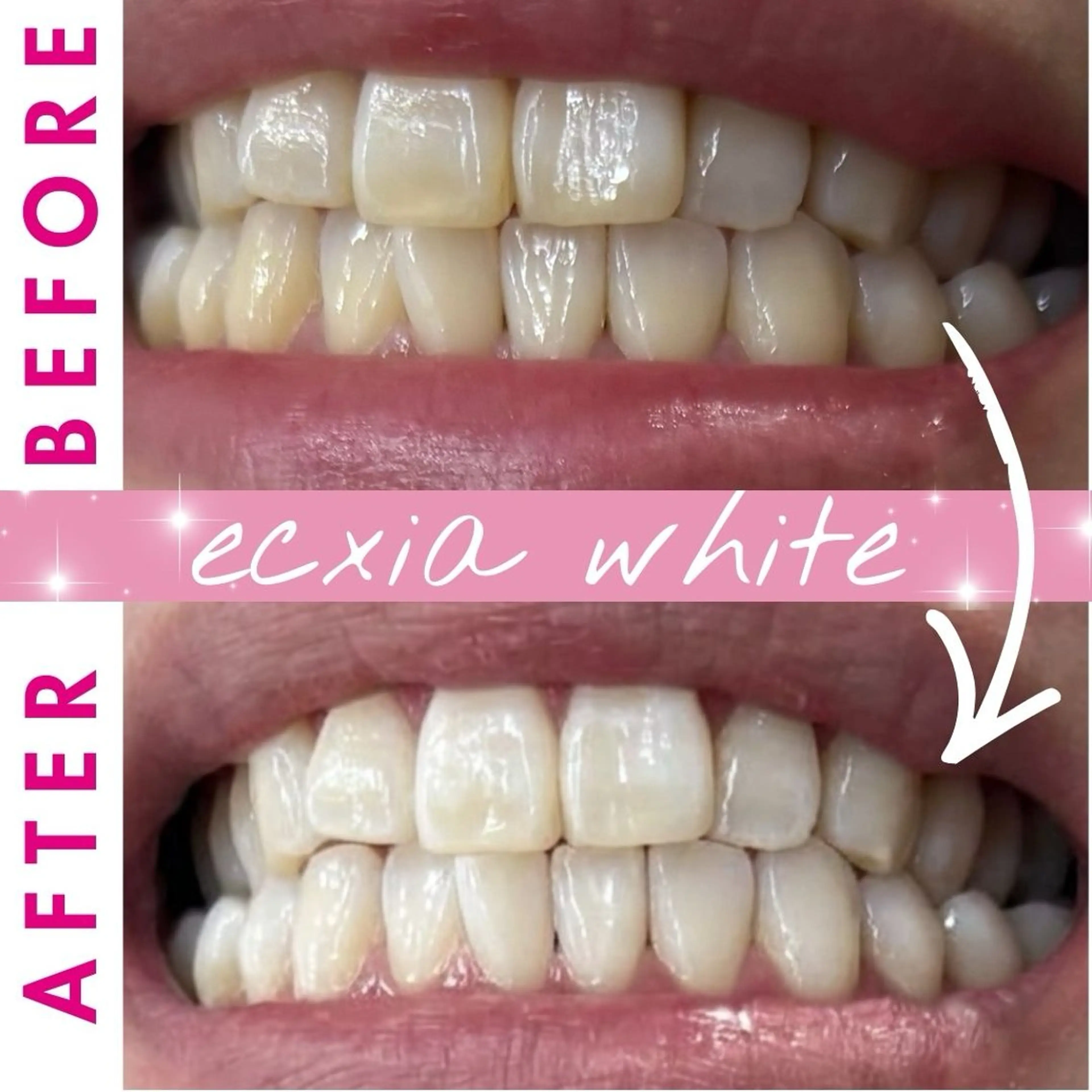 エクシアホワイト 奥田店のその他イメージ