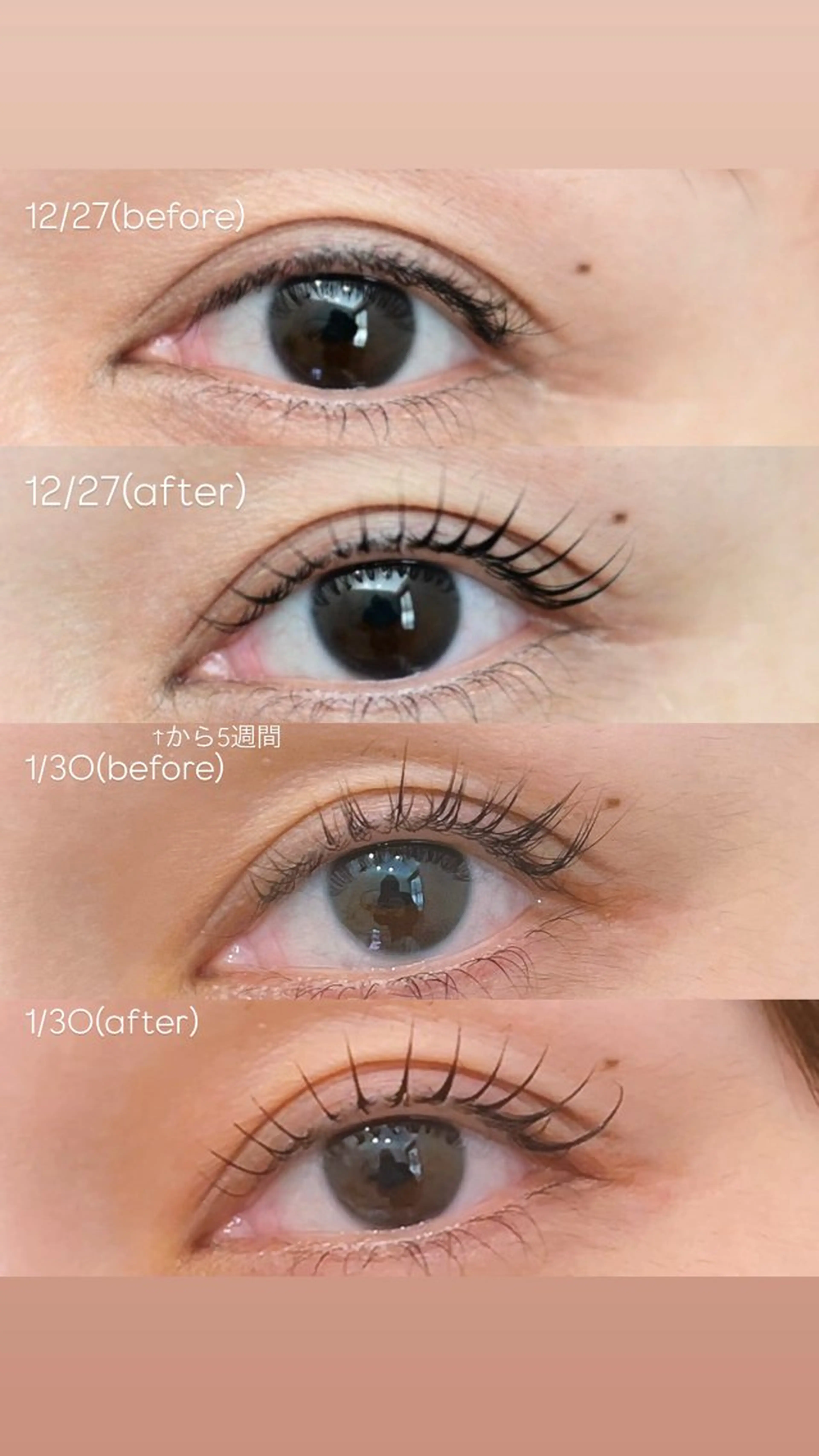 マツエク・マツパ マツパ テトのチヒロ .のマツエク・マツパデザイン