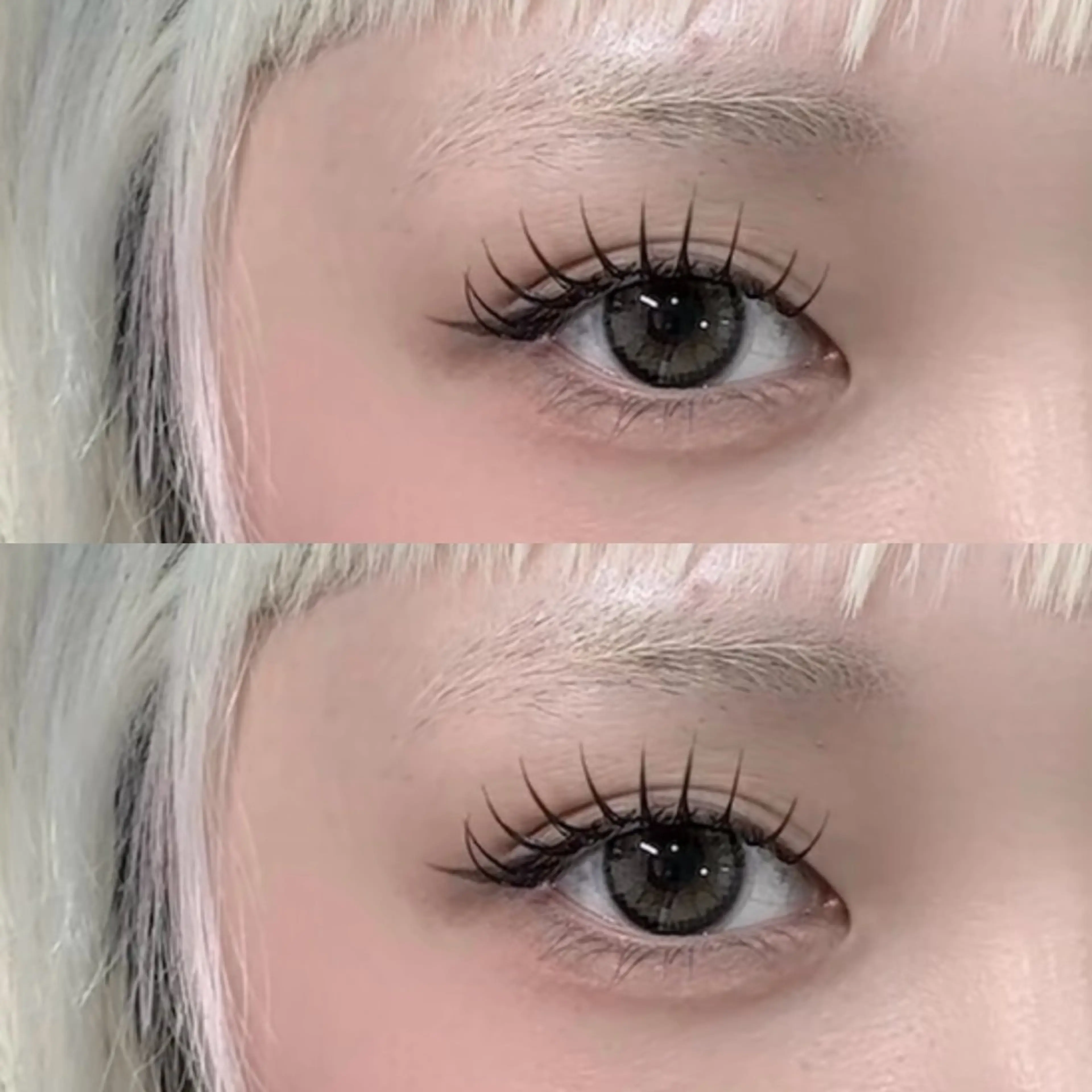 LEDナチュラル盛れ50束(100本）   ダブルフラットラッシュ韓国風‪‪❤︎‬コーティングの写真