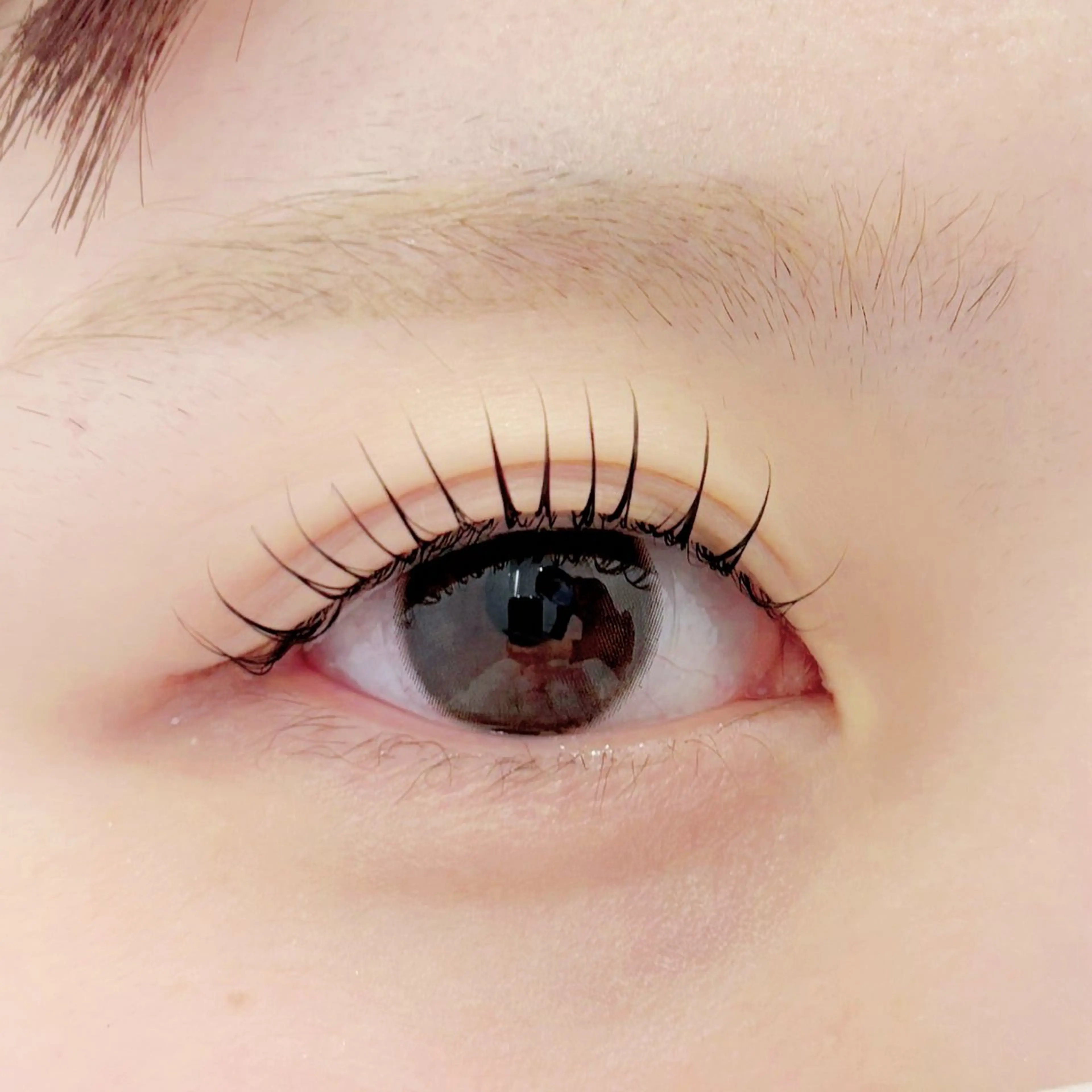 マツエク・マツパ 束感まつ毛 韓国風マツエク マツパ 🌙Lily 船橋 鈴木のマツエク・マツパデザイン