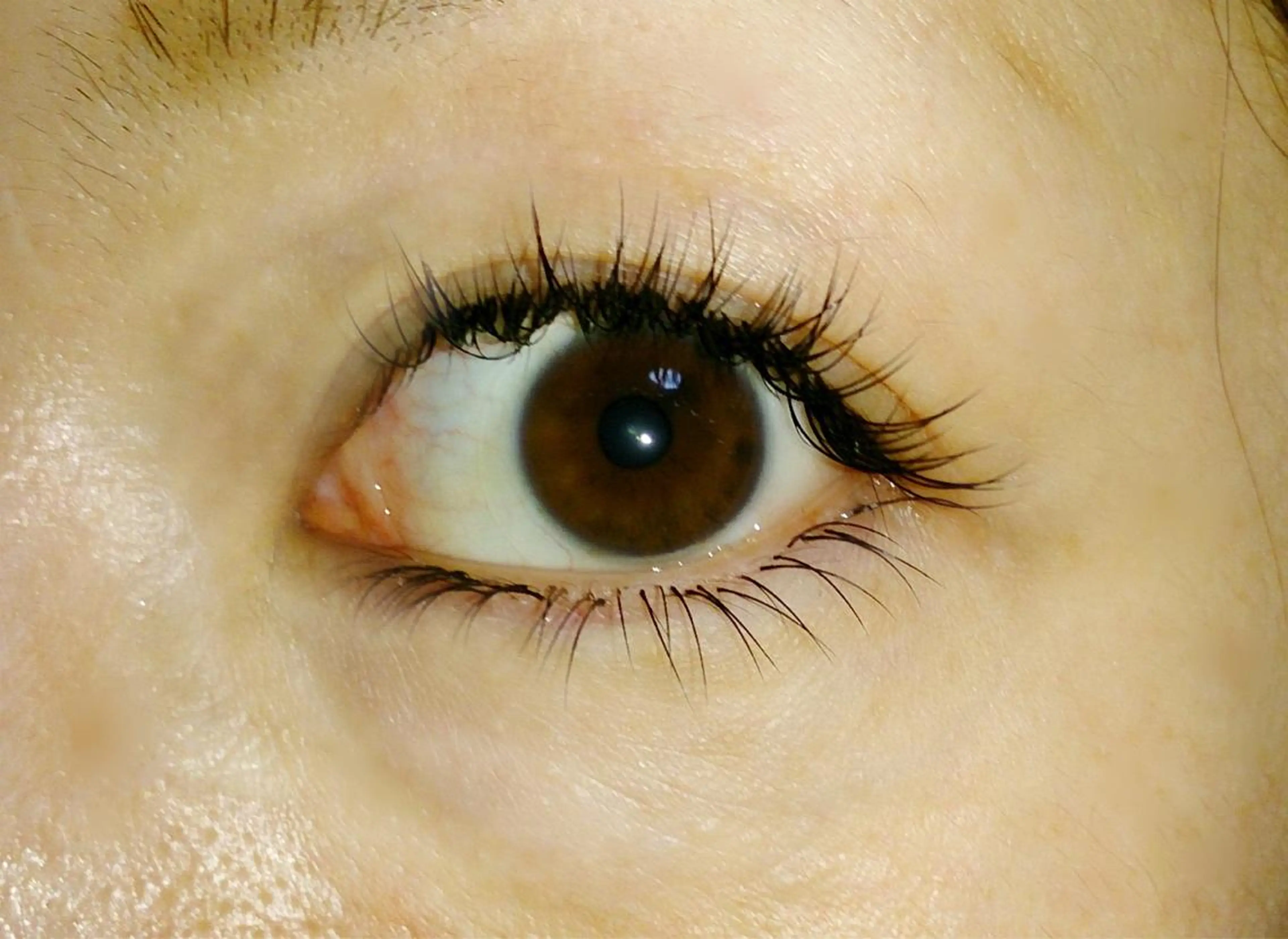 下まつ毛付け放題の写真