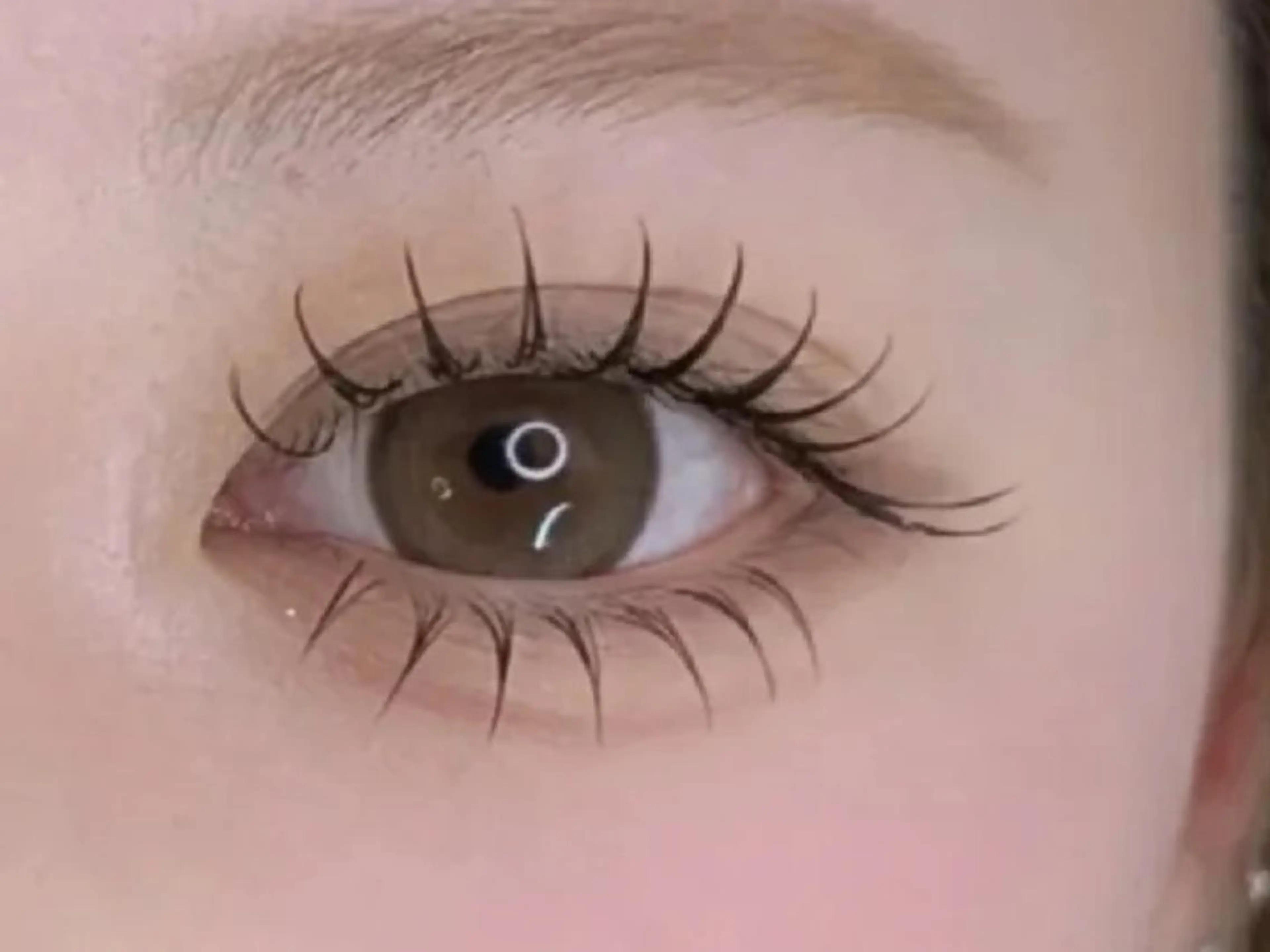 SET★ダメージレス☆韓国アイドル風まつ毛パーマ上下セットの写真