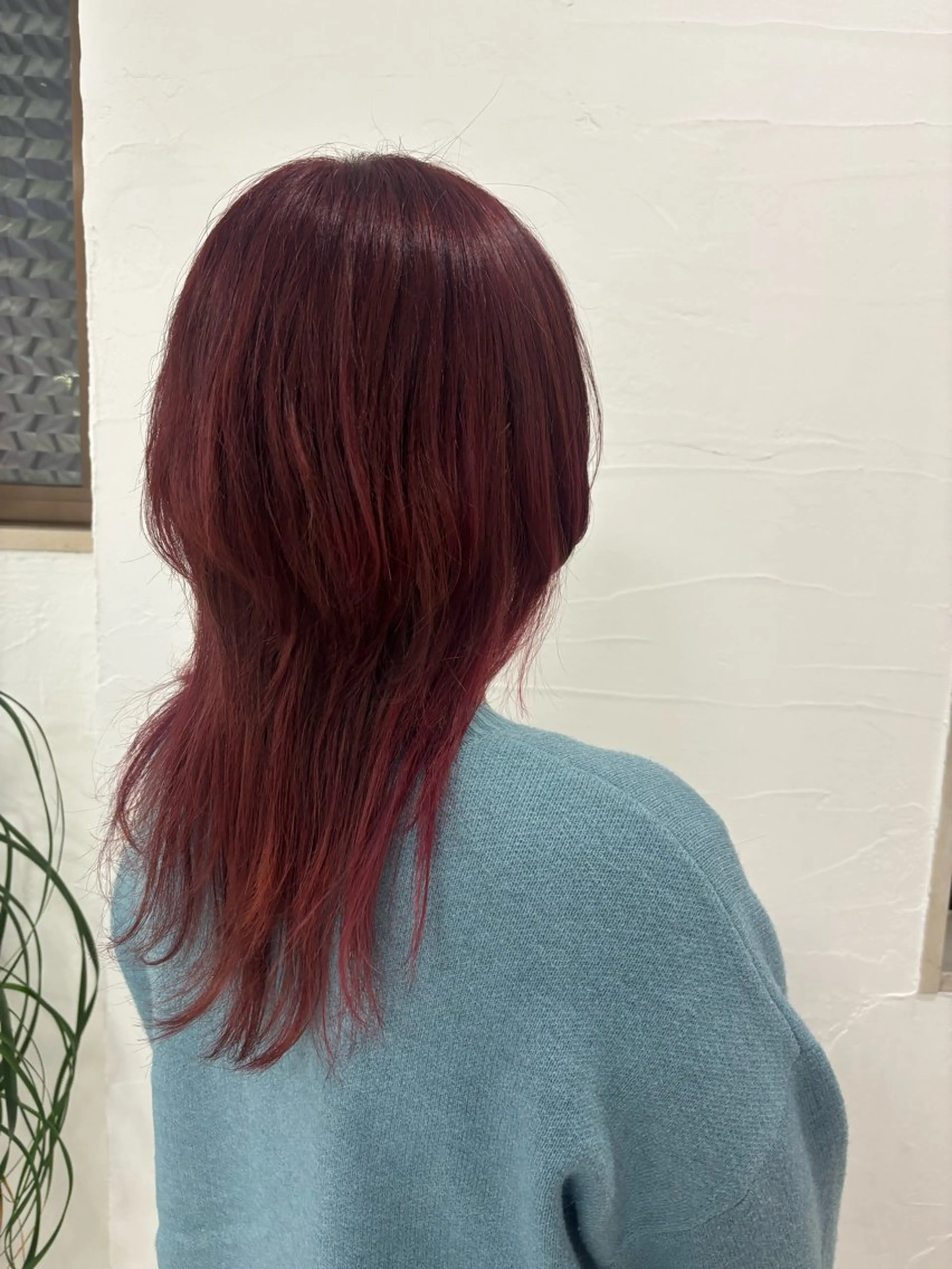 セミロング カラー ダブルカラー レッドカラー ウルフカット Esquisse est ミライのヘアスタイル