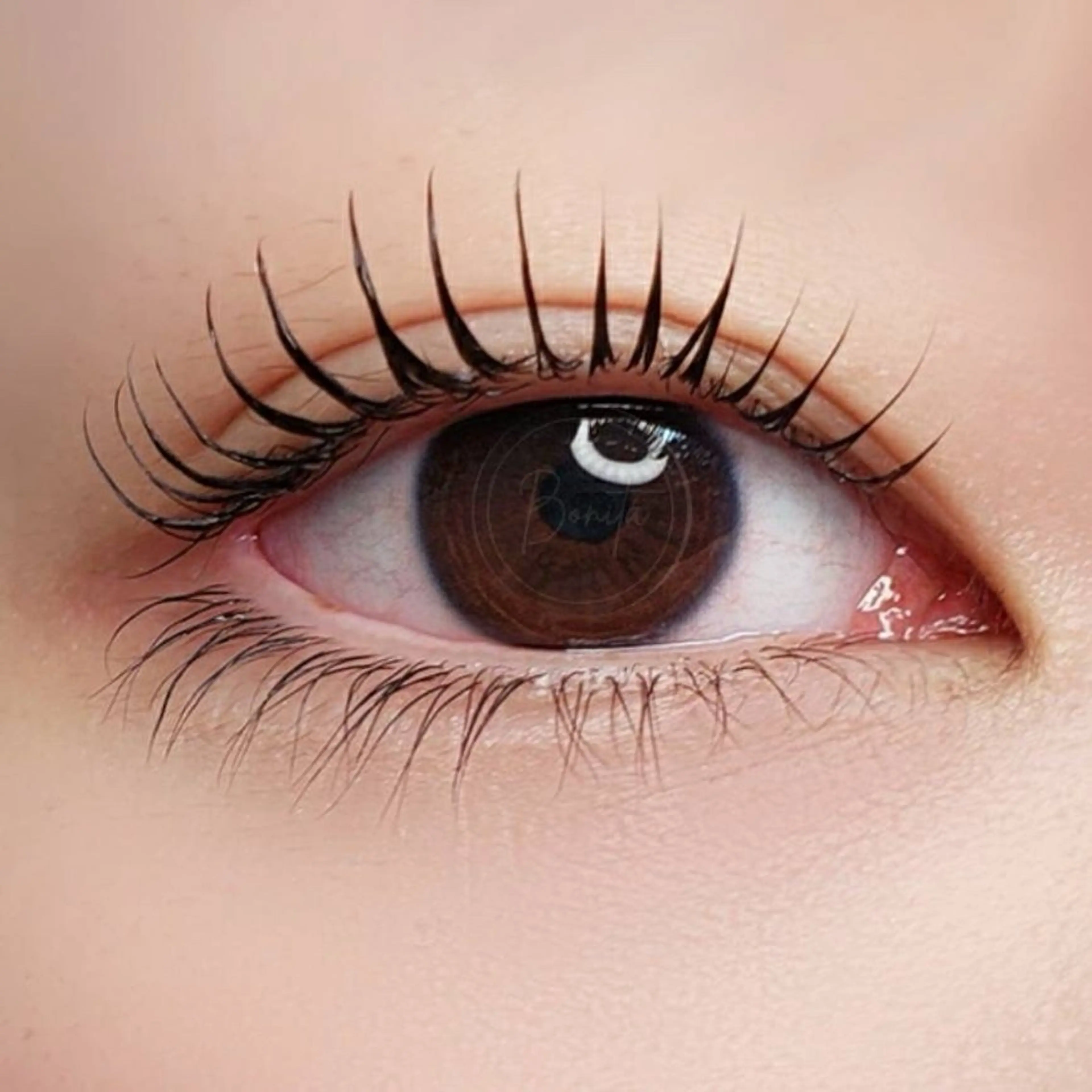 自まつ毛が多く長い方撮影モデル📸眉WAX＆まつ毛パーマのsetの写真