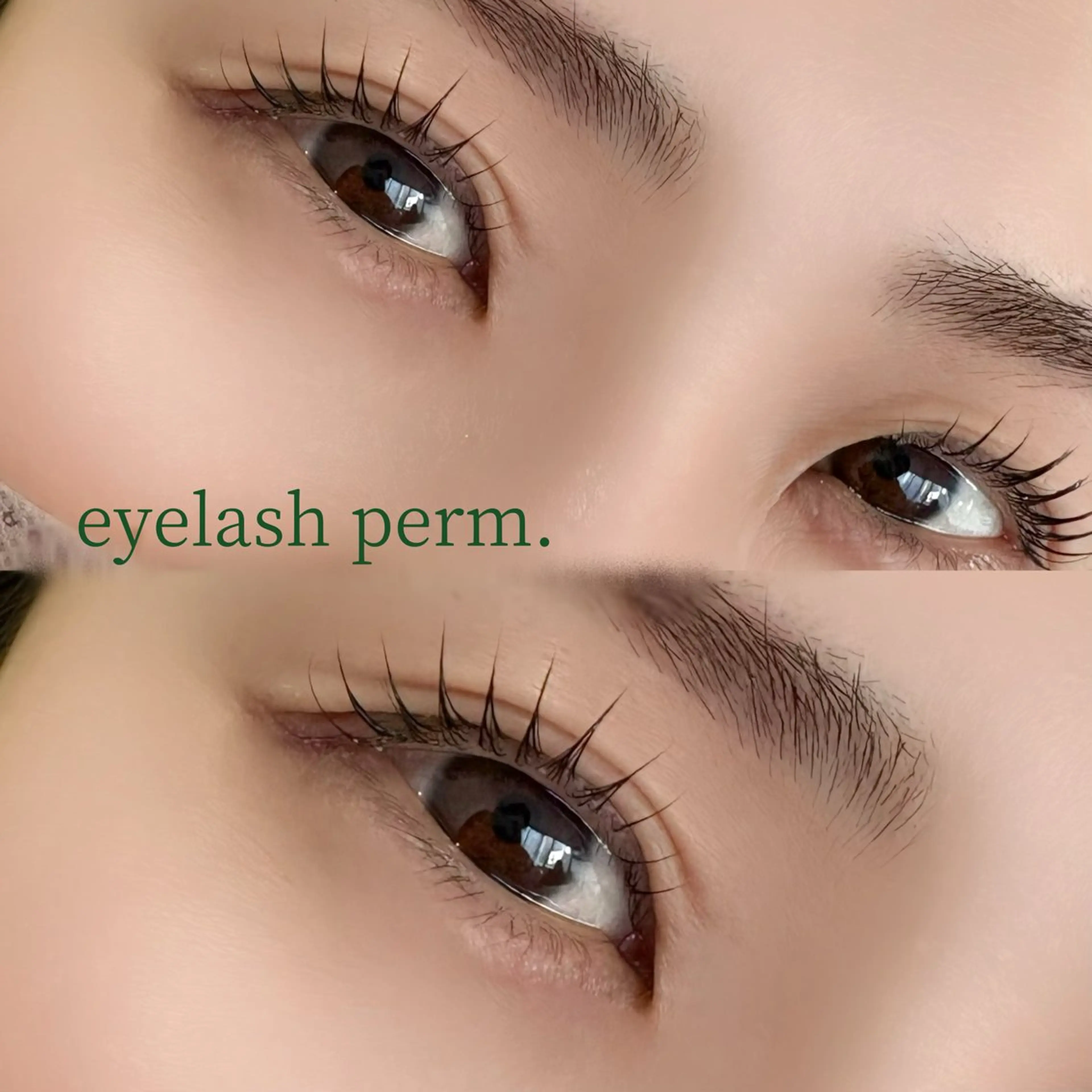 マツエク・マツパ マツパ &studio 🕊️yumeのマツエク・マツパデザイン