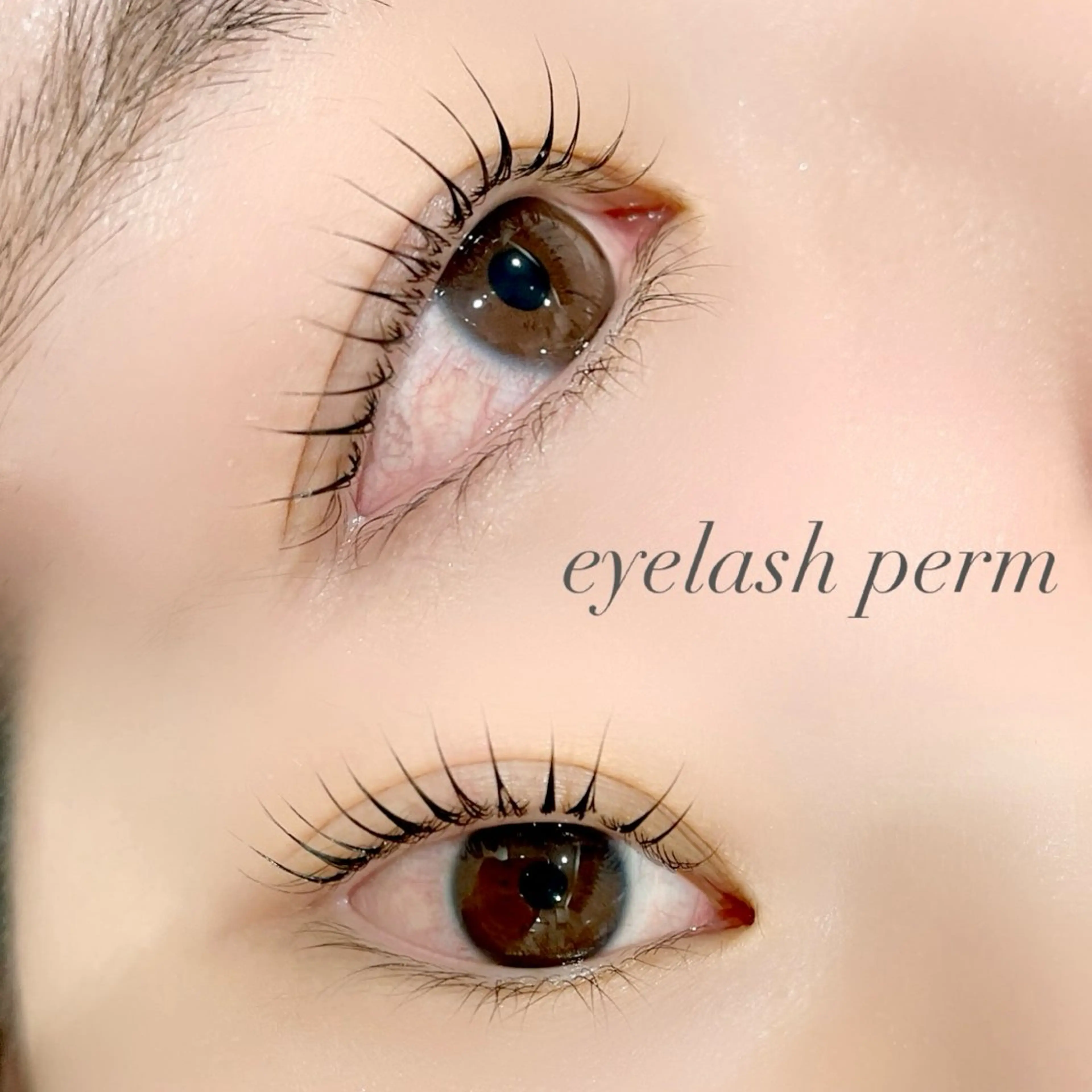 マツエク・マツパ パリジェンヌラッシュリフト Kitta/三軒茶屋 まつげ/眉毛のマツエク・マツパデザイン