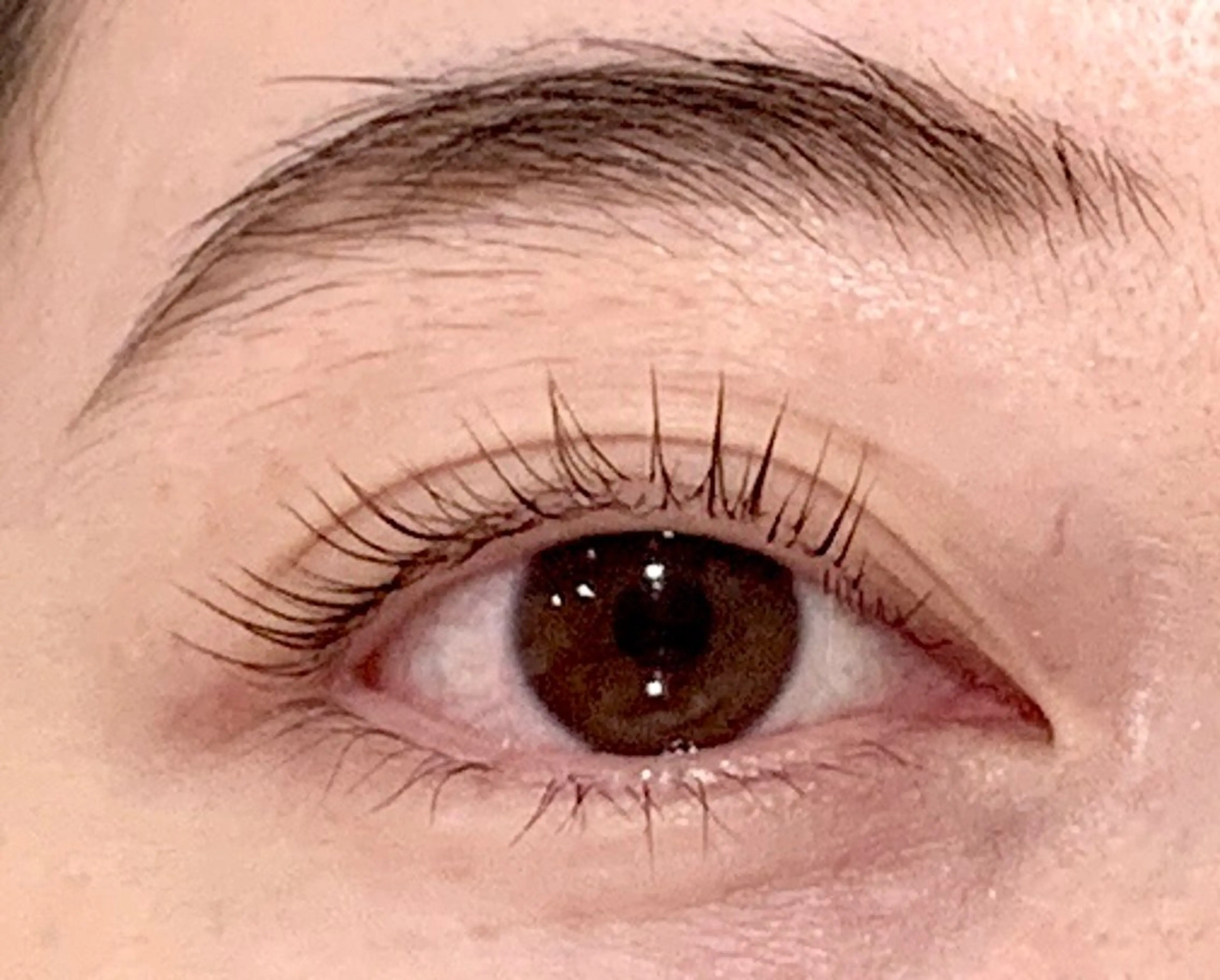 マツエク・マツパ アッパーリフトカール RAY EYE 稲垣のマツエク・マツパデザイン