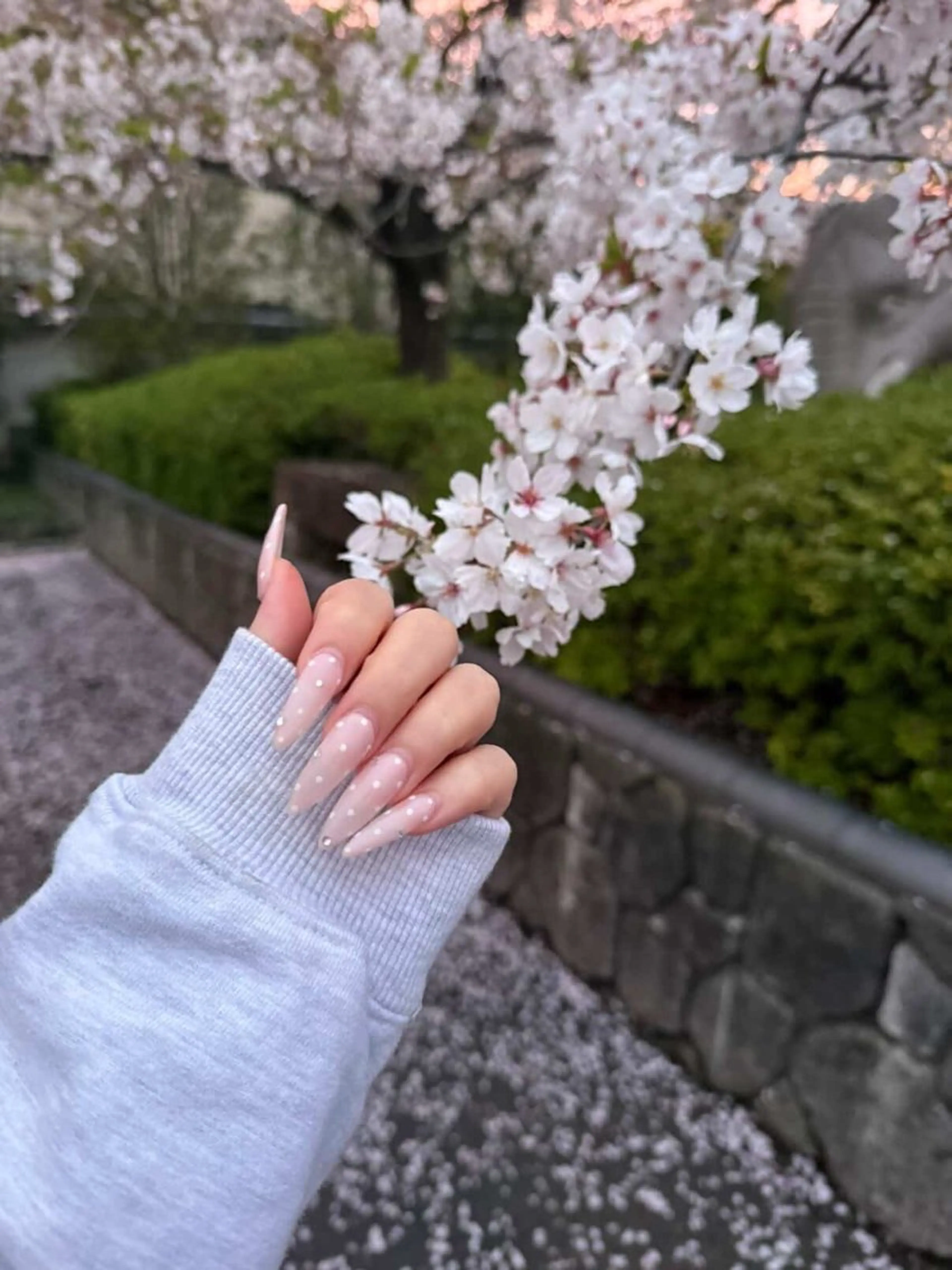 ネイル 長さ出し ロングネイル ネイルチップ ハンドネイル NAIL Alaia 𓇼のネイルデザイン