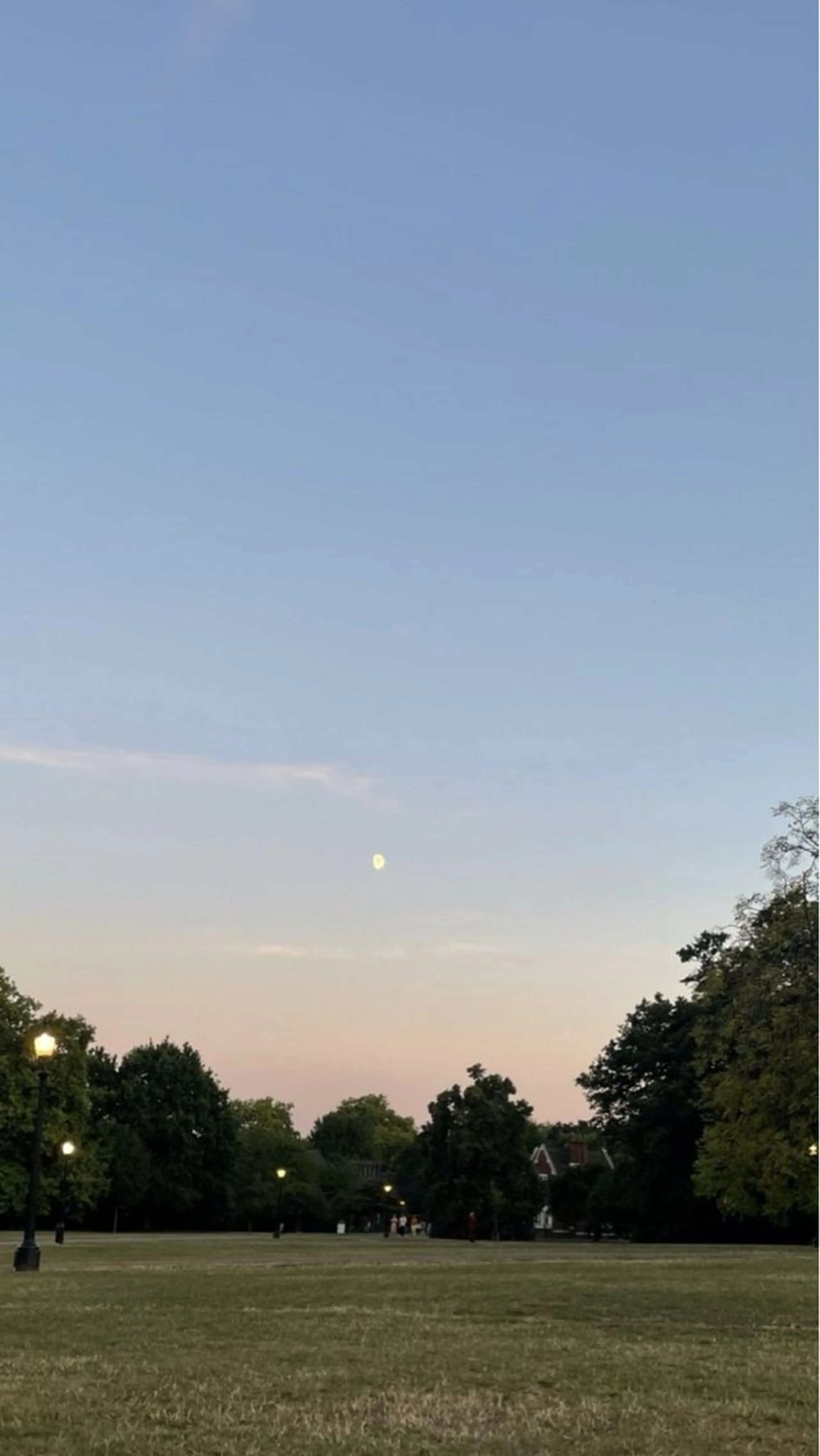 マツエク・マツパ B⭐︎star Kim🤎のマツエク・マツパデザイン