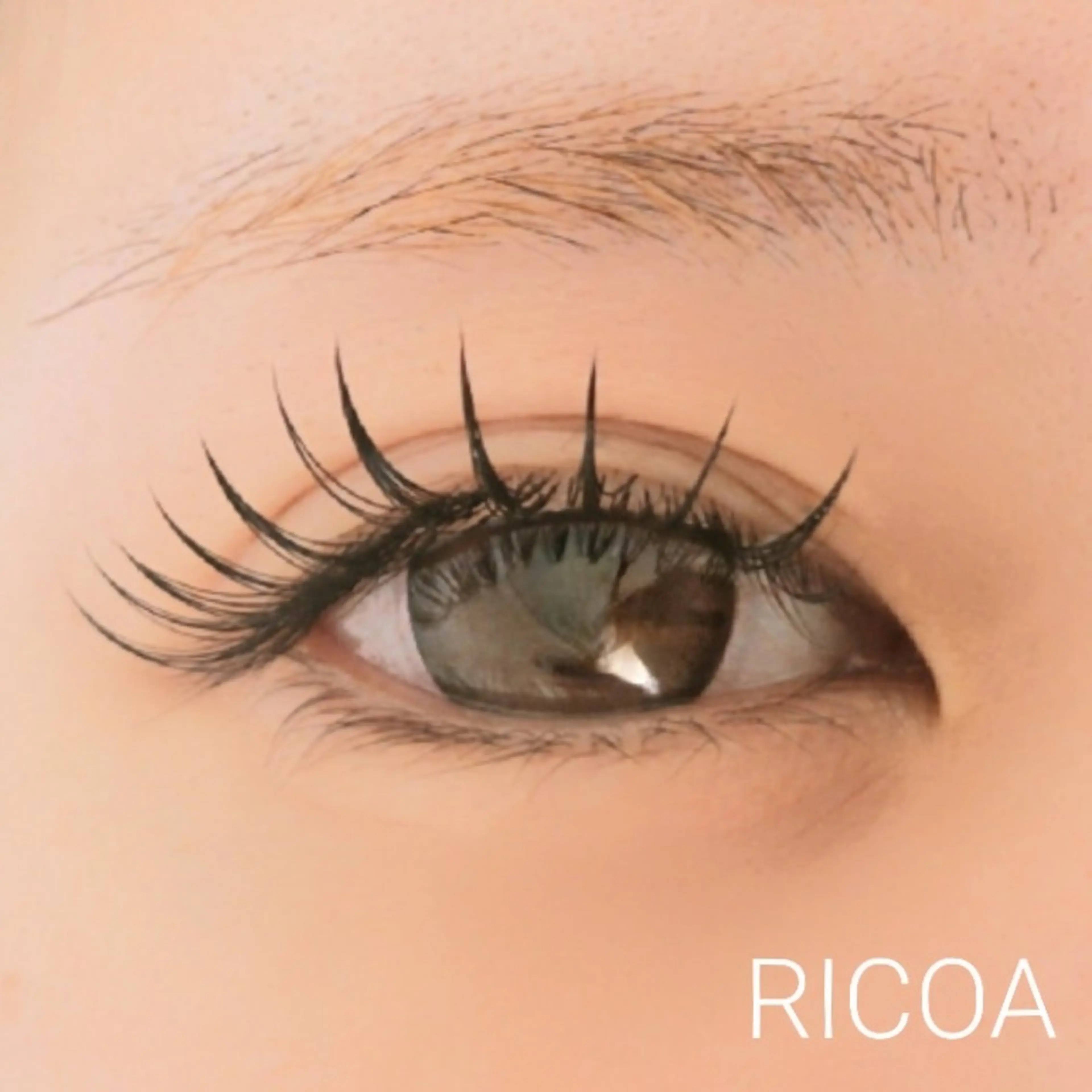 マツエク・マツパ Dカール フラットラッシュ マツエク RICOA 酒井のマツエク・マツパデザイン