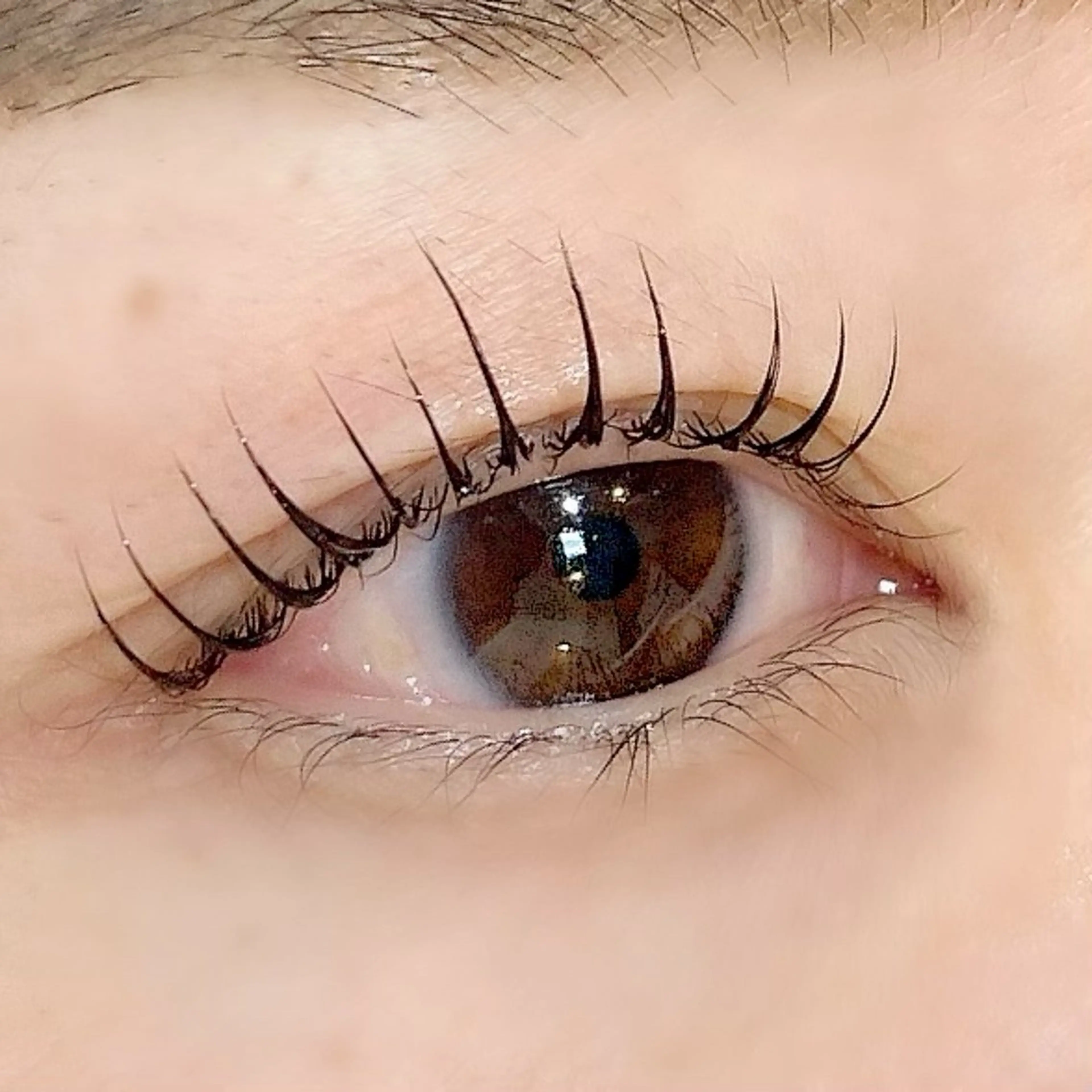 【オフ込み】ラッシュリフト🌟➕アイシャンプー🫧➕ケラチントリートメント💭🎀の写真